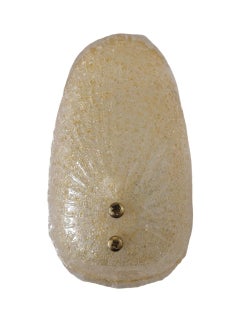 "Mazzega" honey-colored Murano glass wall sconce, Italy 1960s