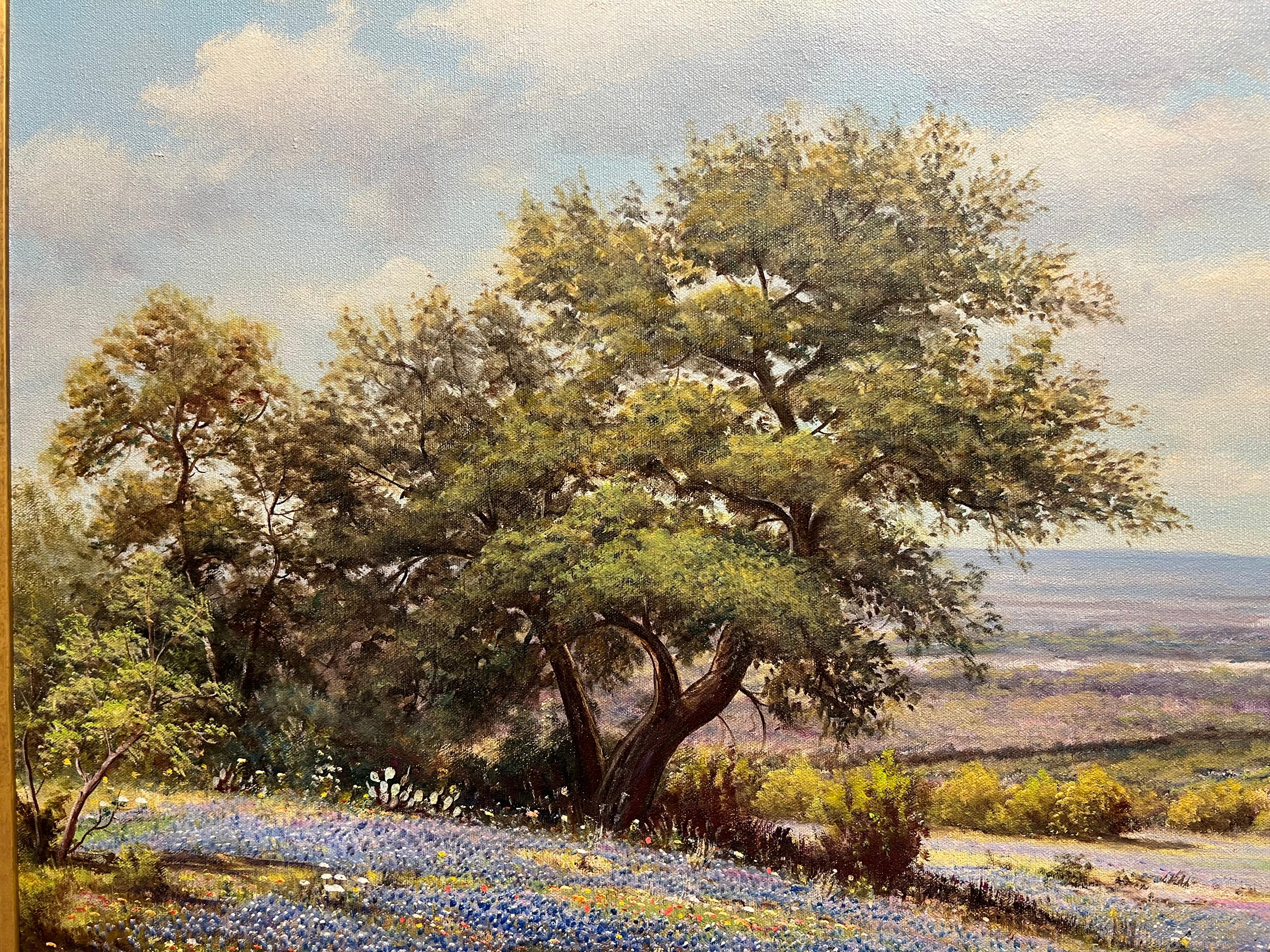 Bluebonnets de abril Otro en venta