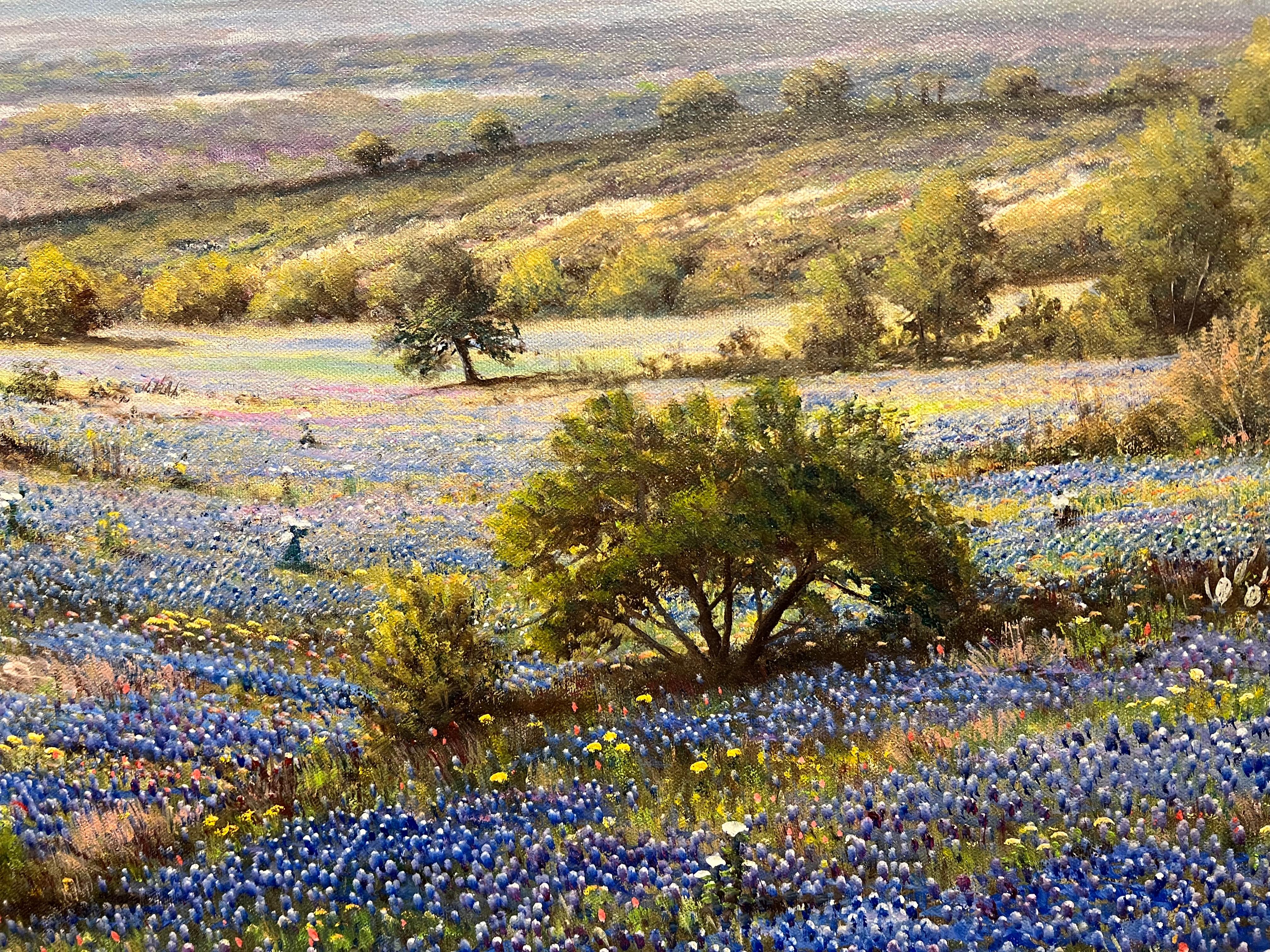 Bluebonnets de abril en Bueno estado para la venta en Houston, TX