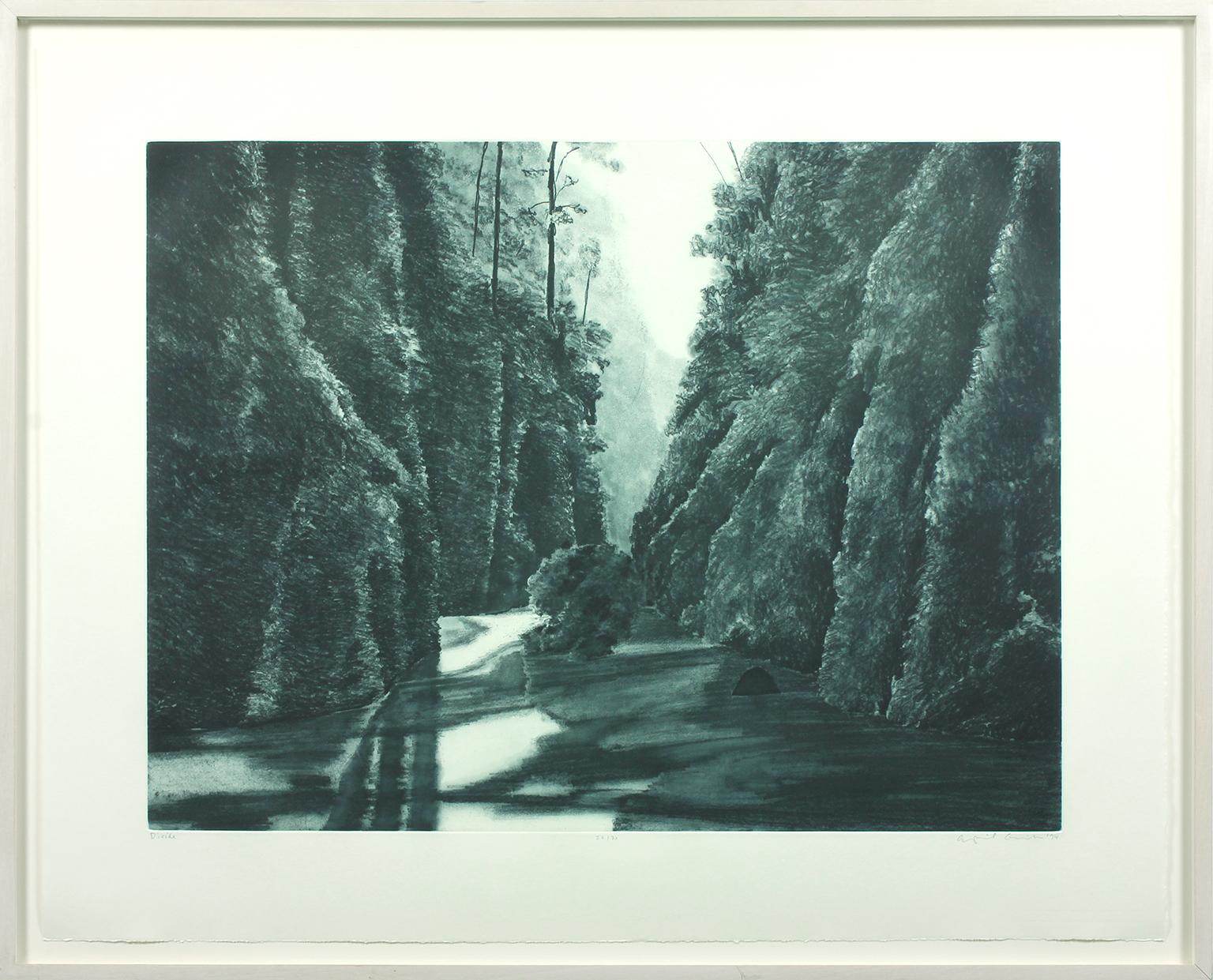 Divide black and white soft ground etching and aquatint by April Gornik 
