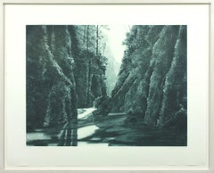 Divide black and white soft ground etching and aquatint by April Gornik 