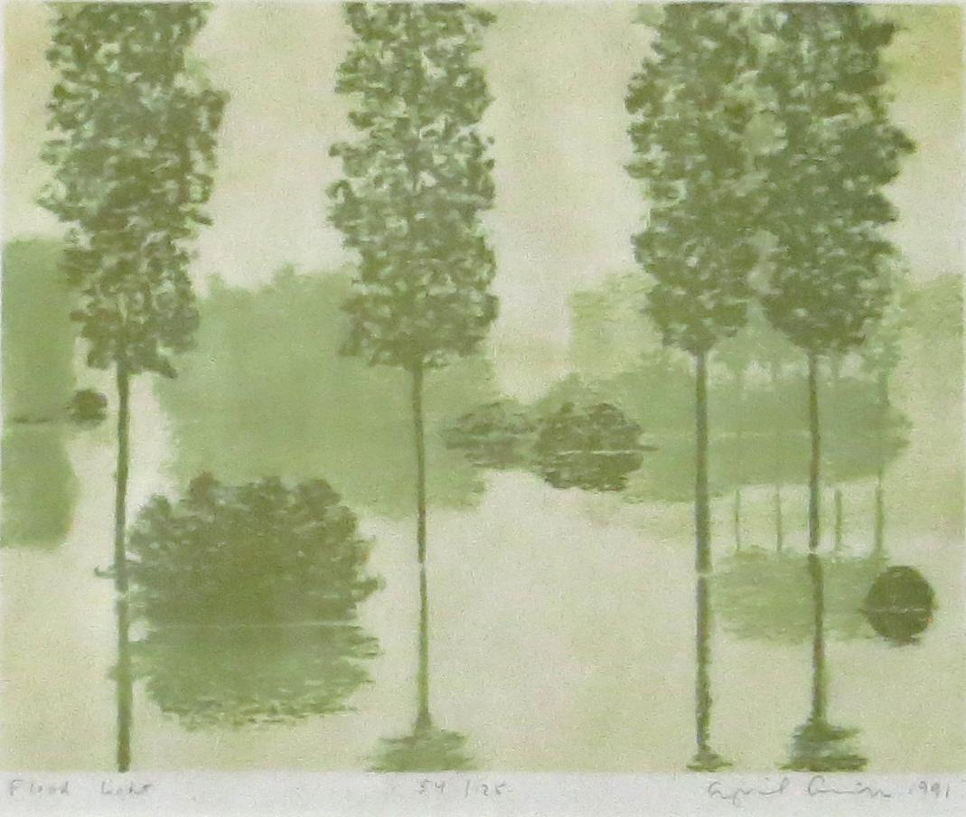 April Gornik Landscape Print - Flood Light