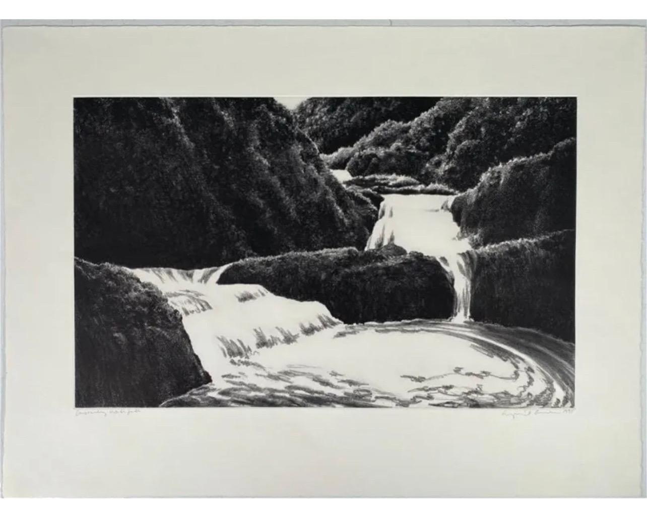 Grande gravure aquatinte d'une cascade et d'une scène de feuillage d'April Gornik, États-Unis moderne en vente 1