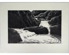 Large April Gornik Aquatint Etching Waterfall and Foliage Scene, American Modern
