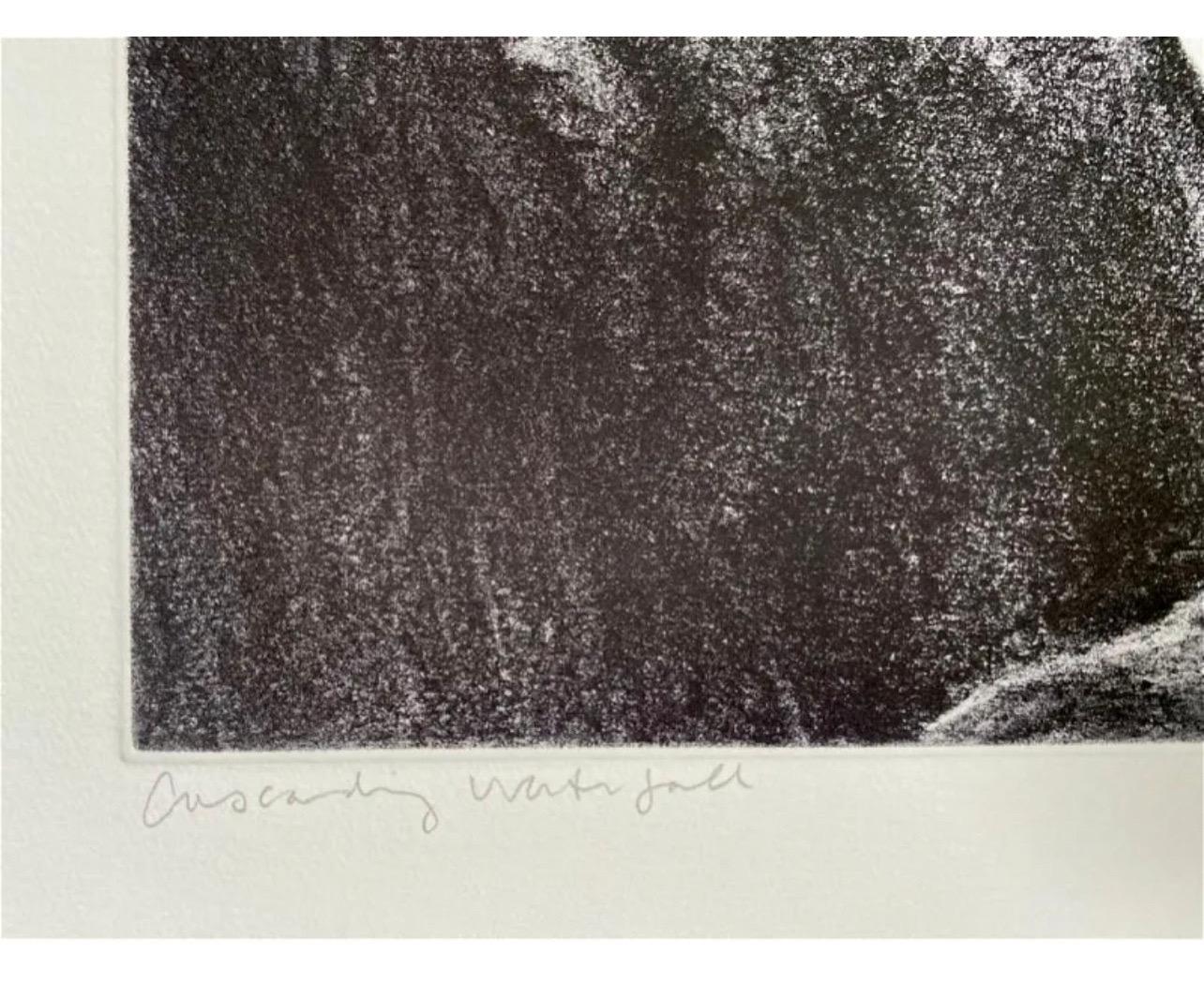 Grande gravure aquatinte d'une cascade et d'une scène de feuillage d'April Gornik, États-Unis moderne en vente 2
