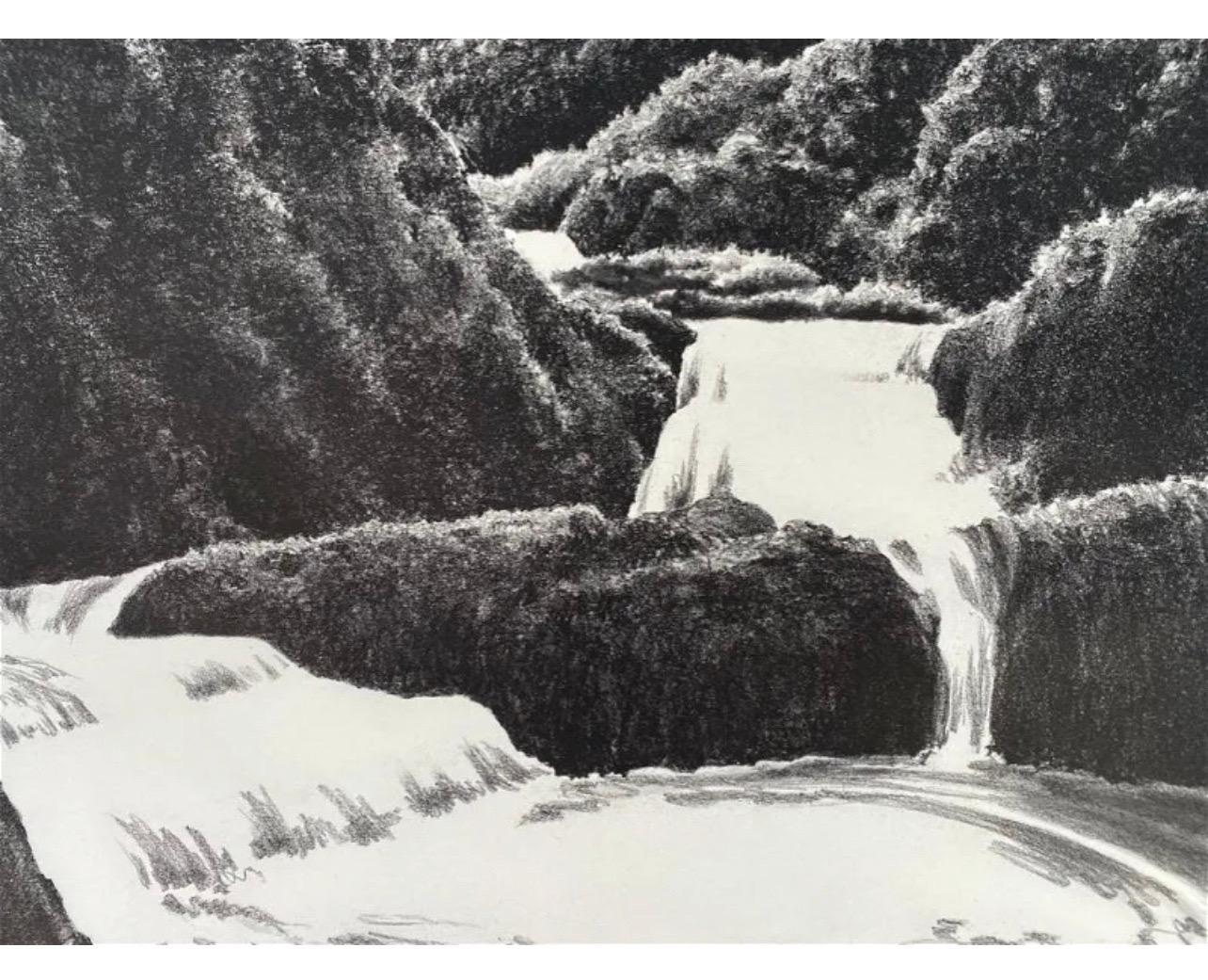 Large April Gornik Aquatint Etching Waterfall and Foliage Scene, American Modern For Sale 1