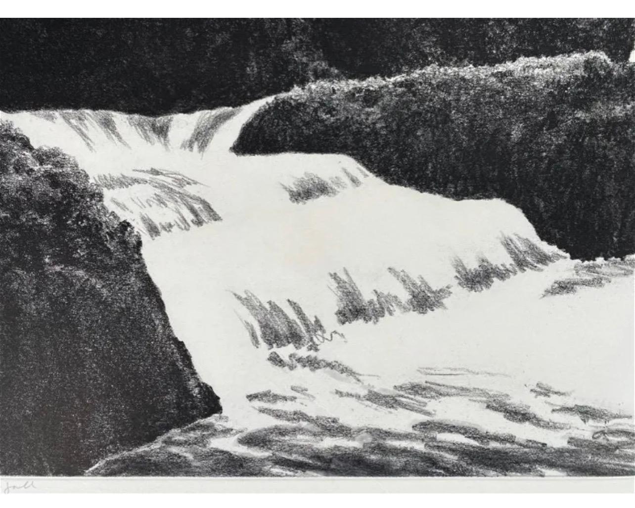 Large April Gornik Aquatint Etching Waterfall and Foliage Scene, American Modern For Sale 2