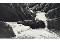 Large April Gornik Aquatint Etching Waterfall and Foliage Scene, American Modern