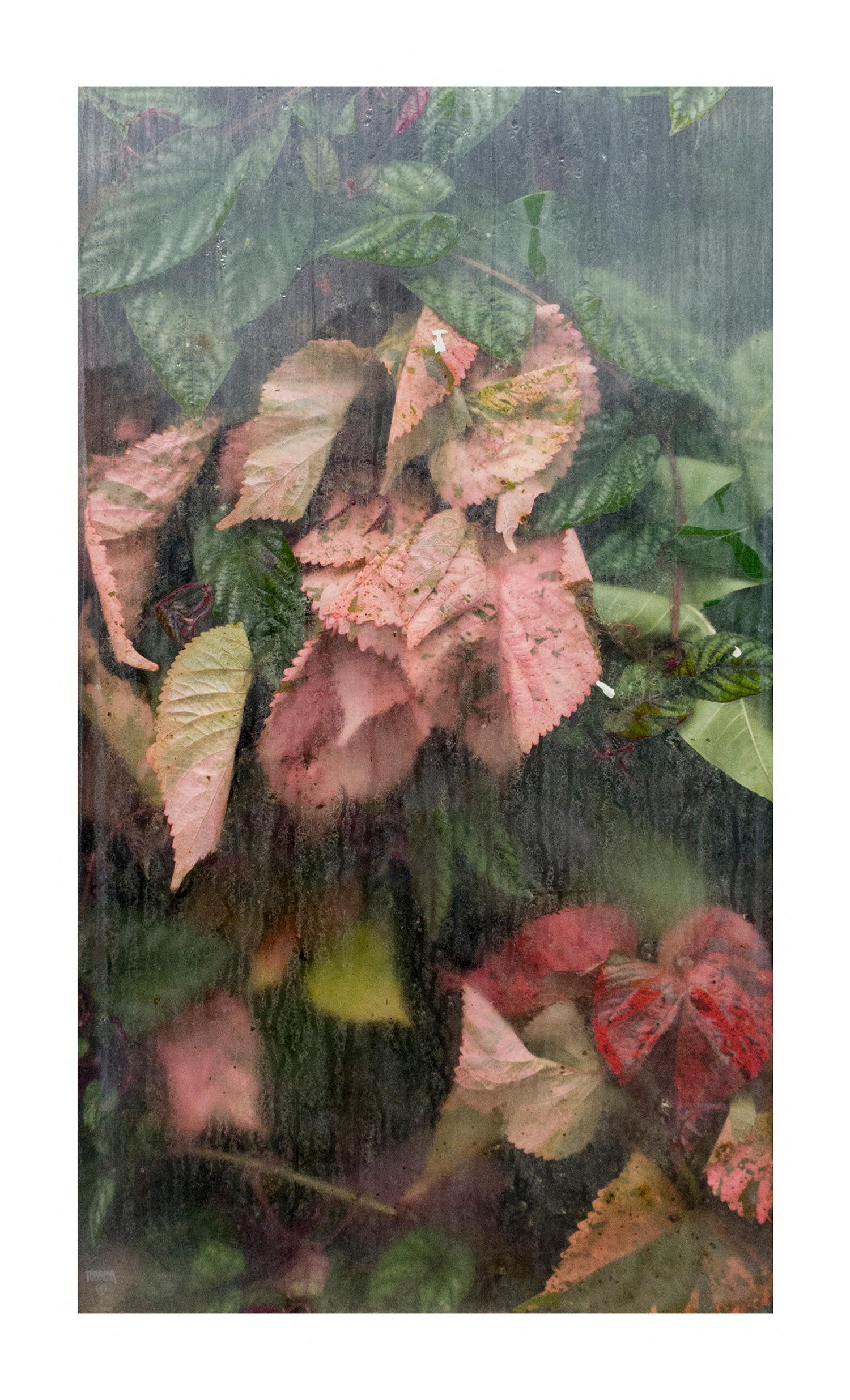 April Hickox Color Photograph - Synthesis, untitled #3, limited edition of 5, archival colour photography