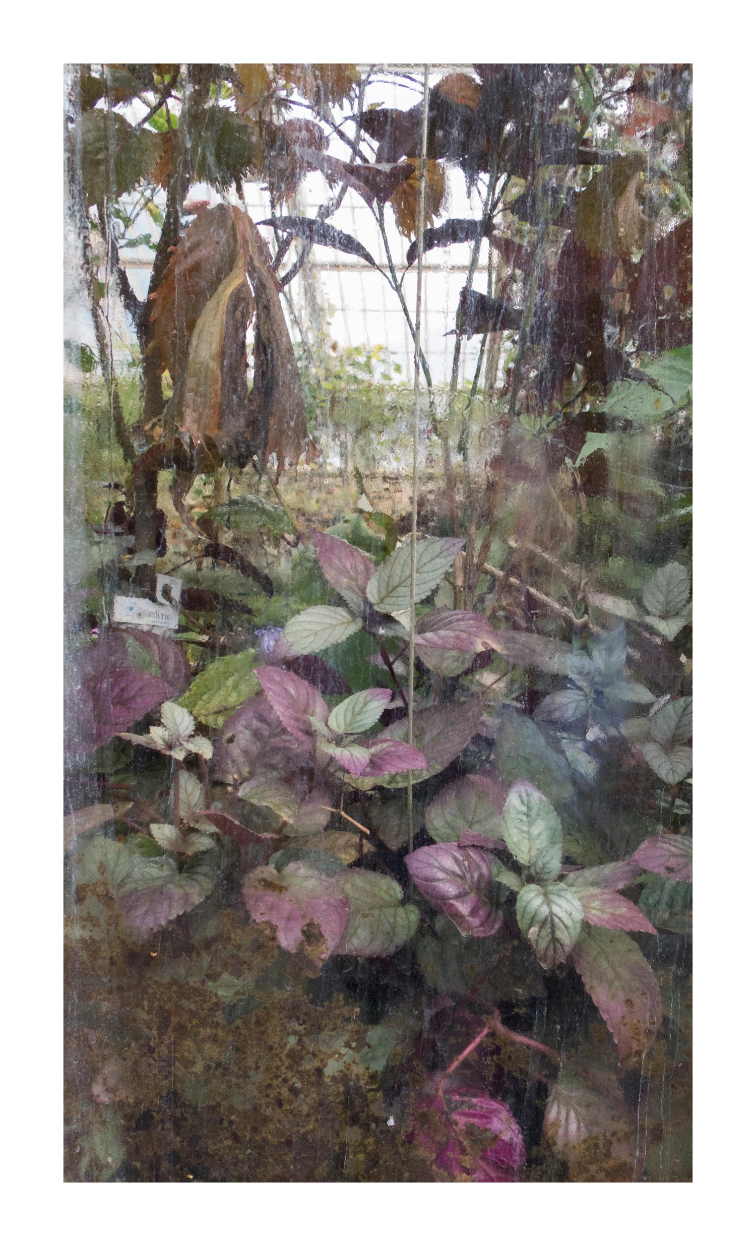 April Hickox Still-Life Photograph - Synthesis, untitled #4, limited edition of 5, archival photography, landscape