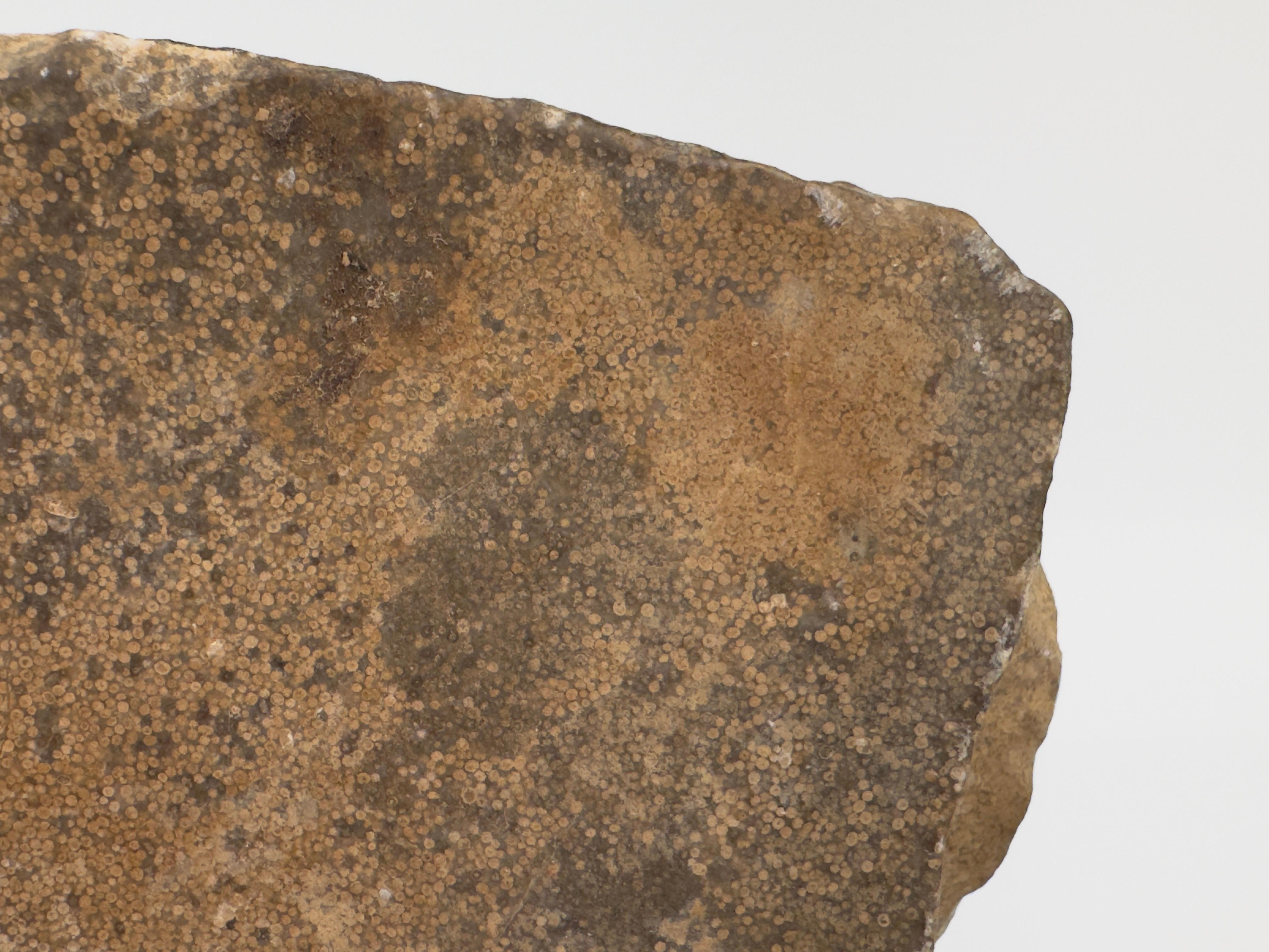 Apsara-Stele aus Kalkstein mit extrem seltener oolithischer Kieselsäure, Wei Dynasty im Angebot 2