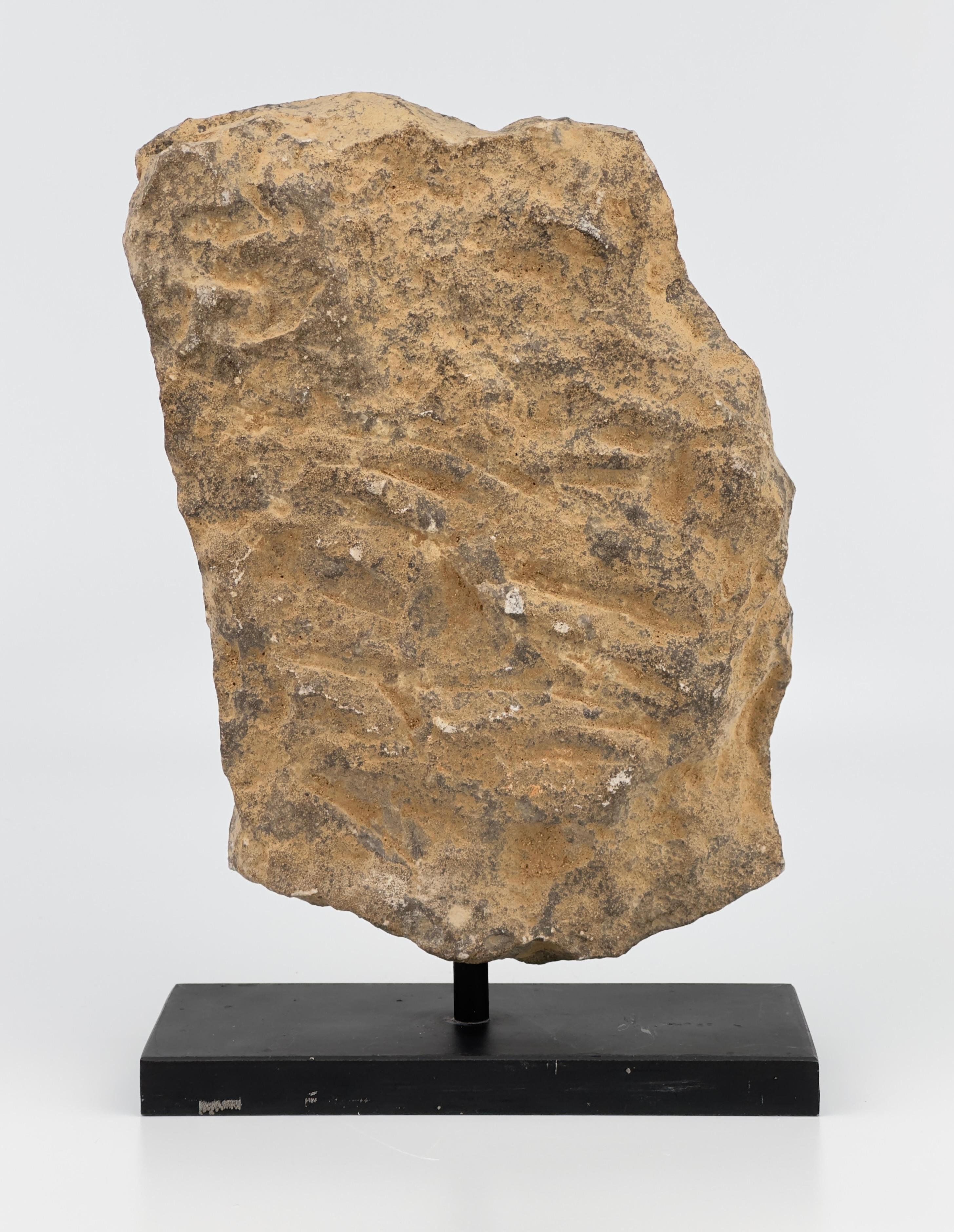 Apsara-Stele aus Kalkstein mit extrem seltener oolithischer Kieselsäure, Wei Dynasty (Chinesisch) im Angebot
