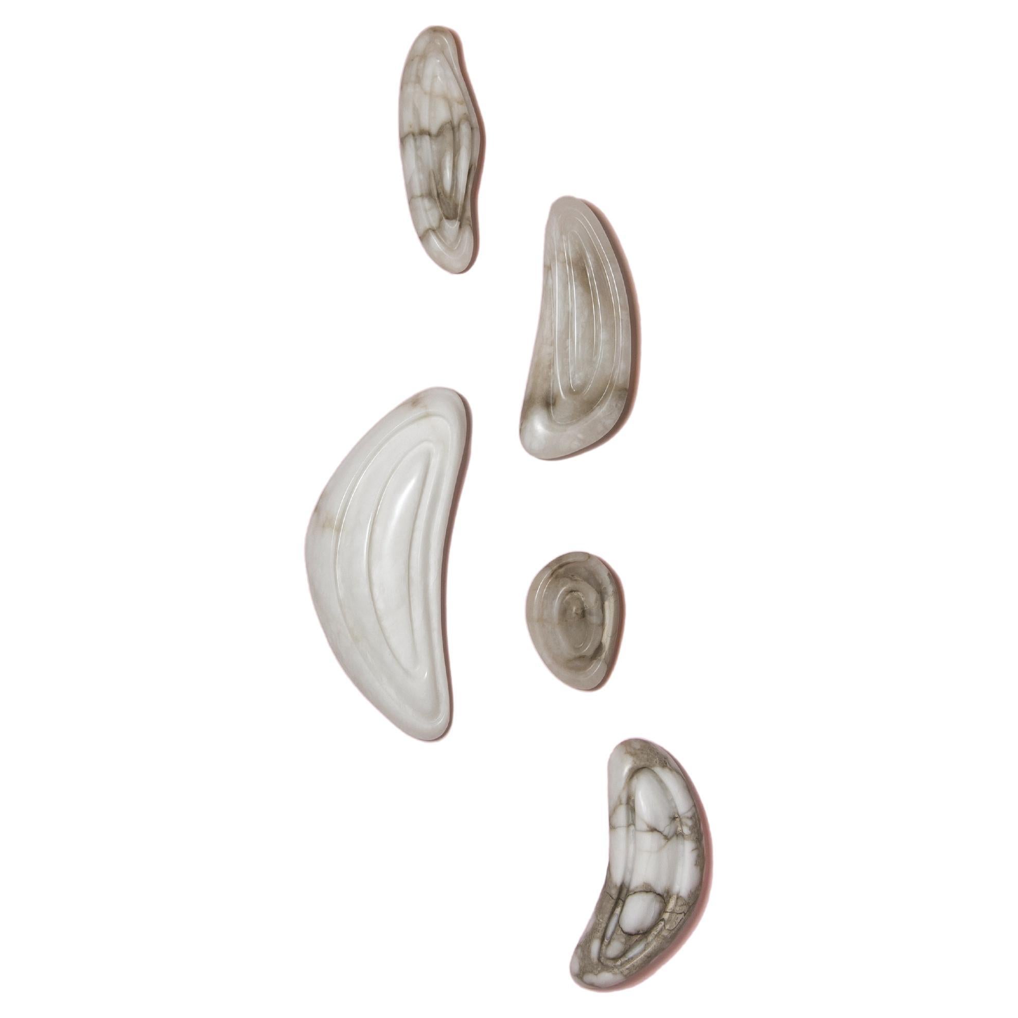 Aqua Fossil Wall Light Lamp in Alabaster by Amarist Studio For Sale