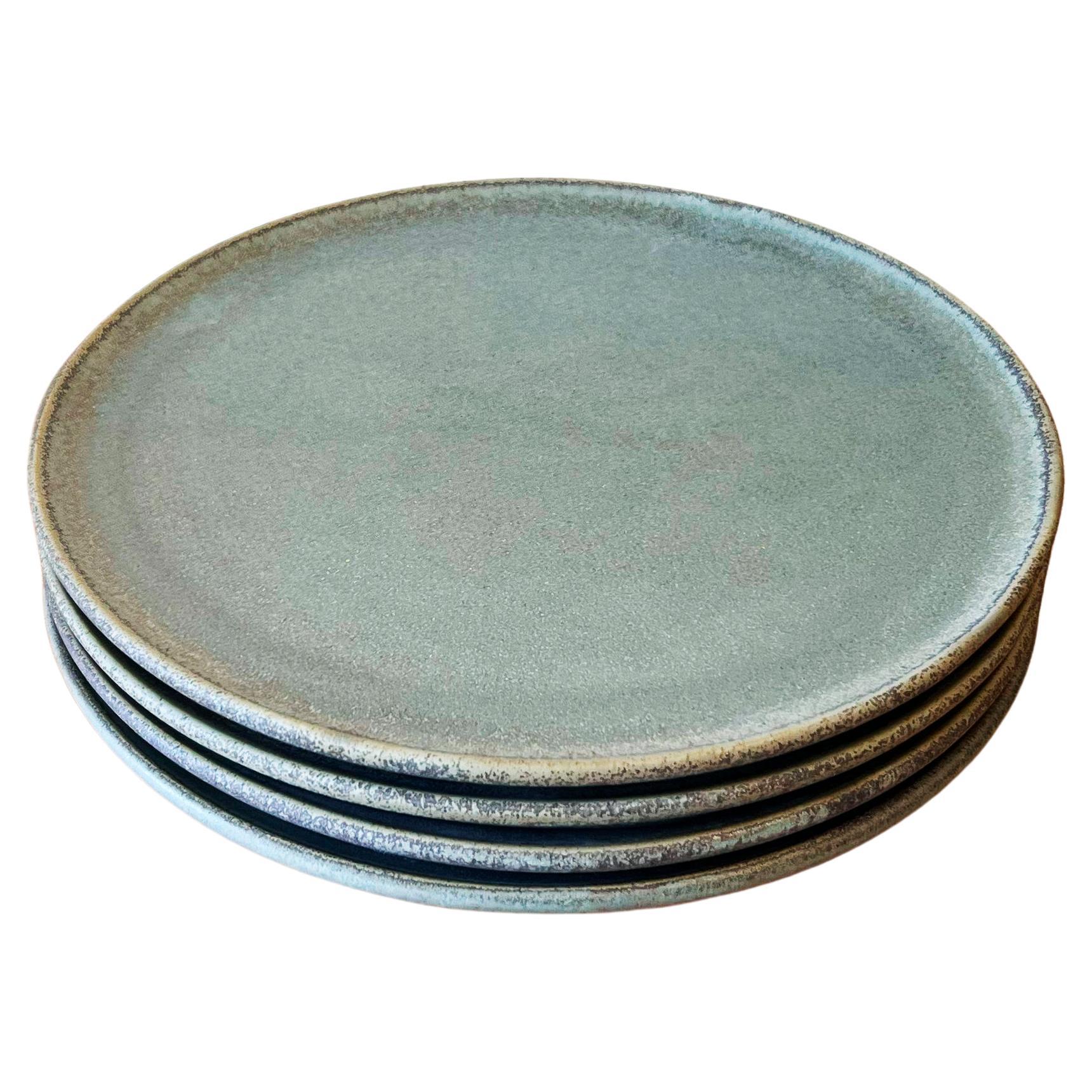Assiettes plates organiques et modernes Aqua faites à la main, lot de 4
