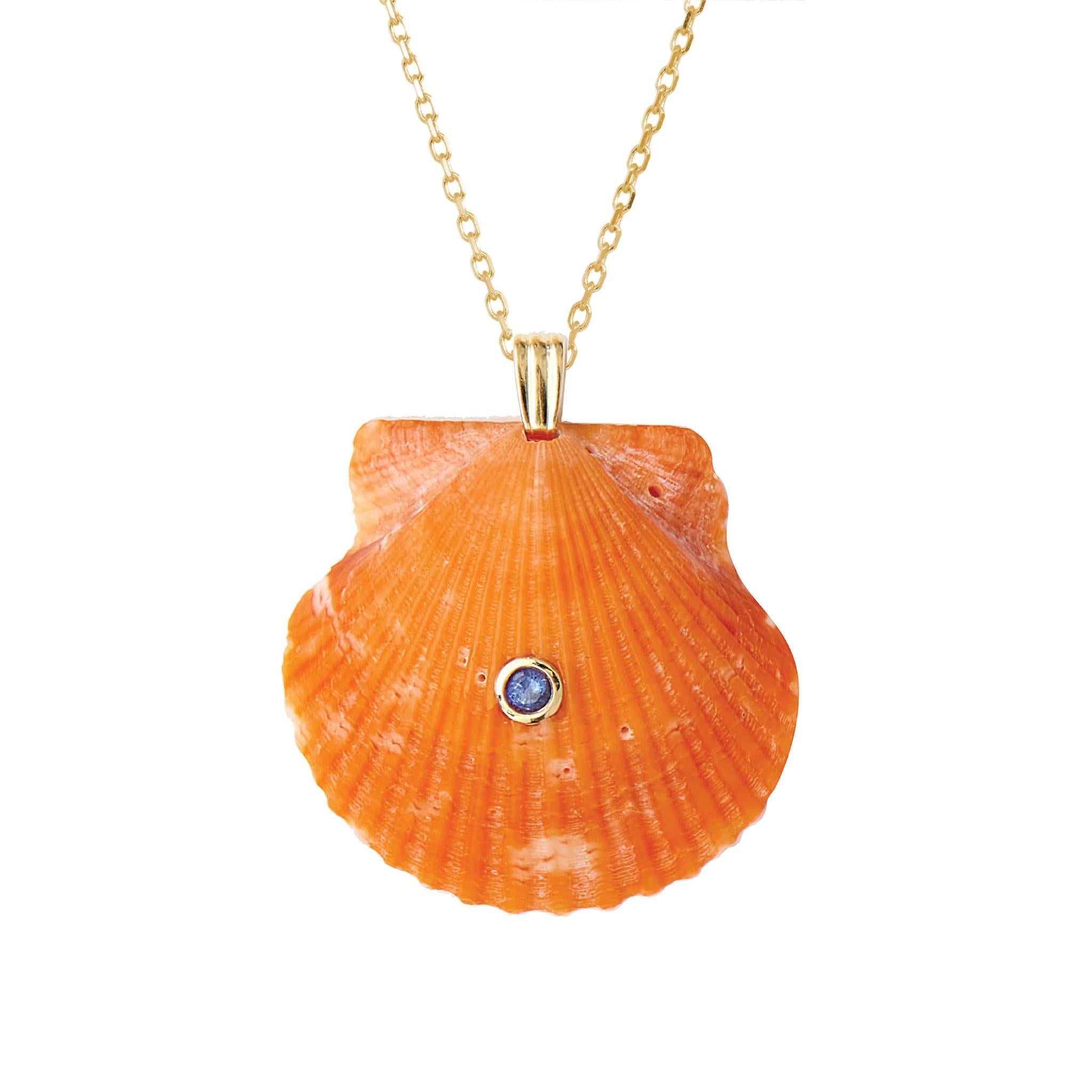 Modern Aqua Natural Shell Pendant with 14k Gold and Blue Sapphire Natural Gemstone
