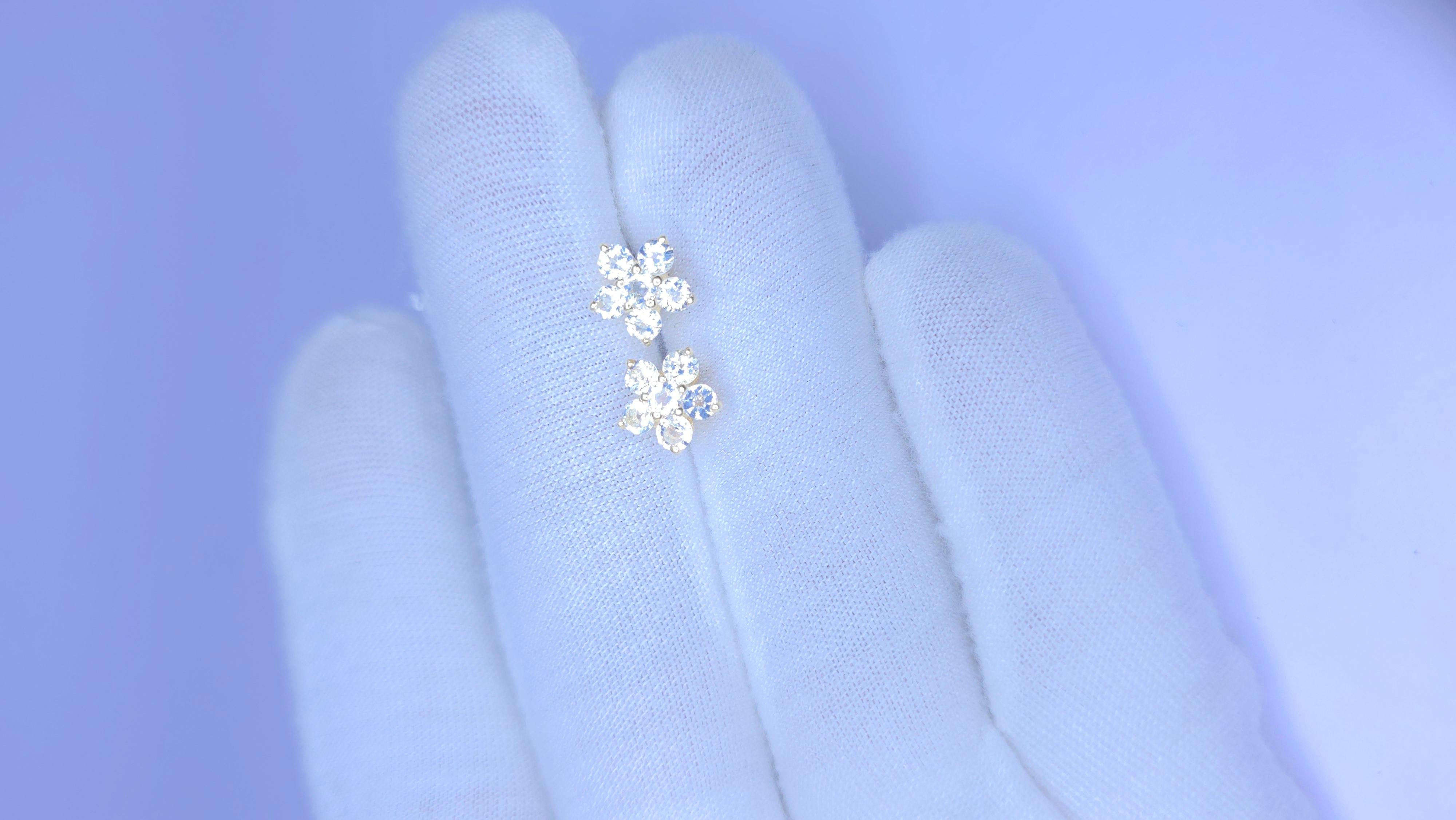 Orecchini a perno Aquamarin in argento 925

Orecchini con pietre di nascita 