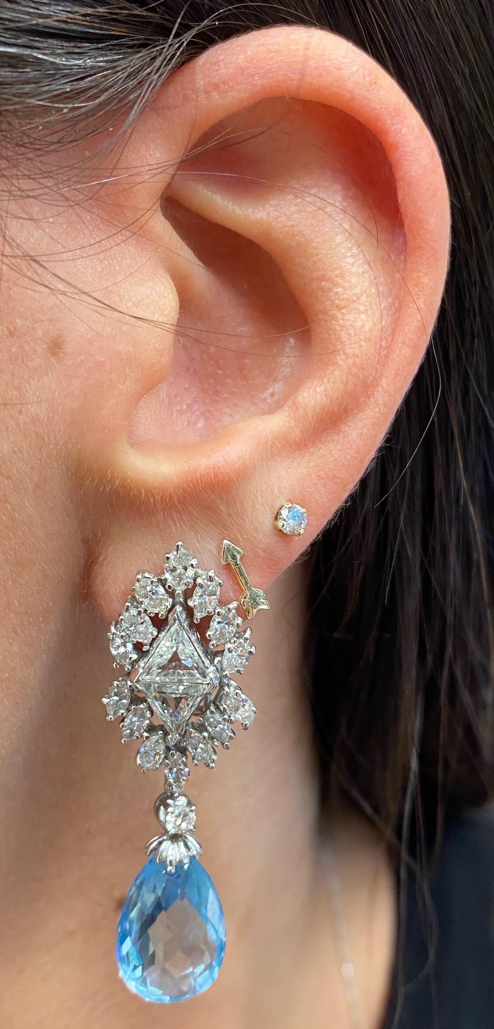 Aquamarine and Diamond Earrings

Day and night white gold earrings with 2 aquamarine drops accented with marquise and triangle-cut diamonds. 

Total Approximate Diamond Weight: 7.3 carats
Total Approximate Aquamarine Weight: 20.55 carats
Back type: