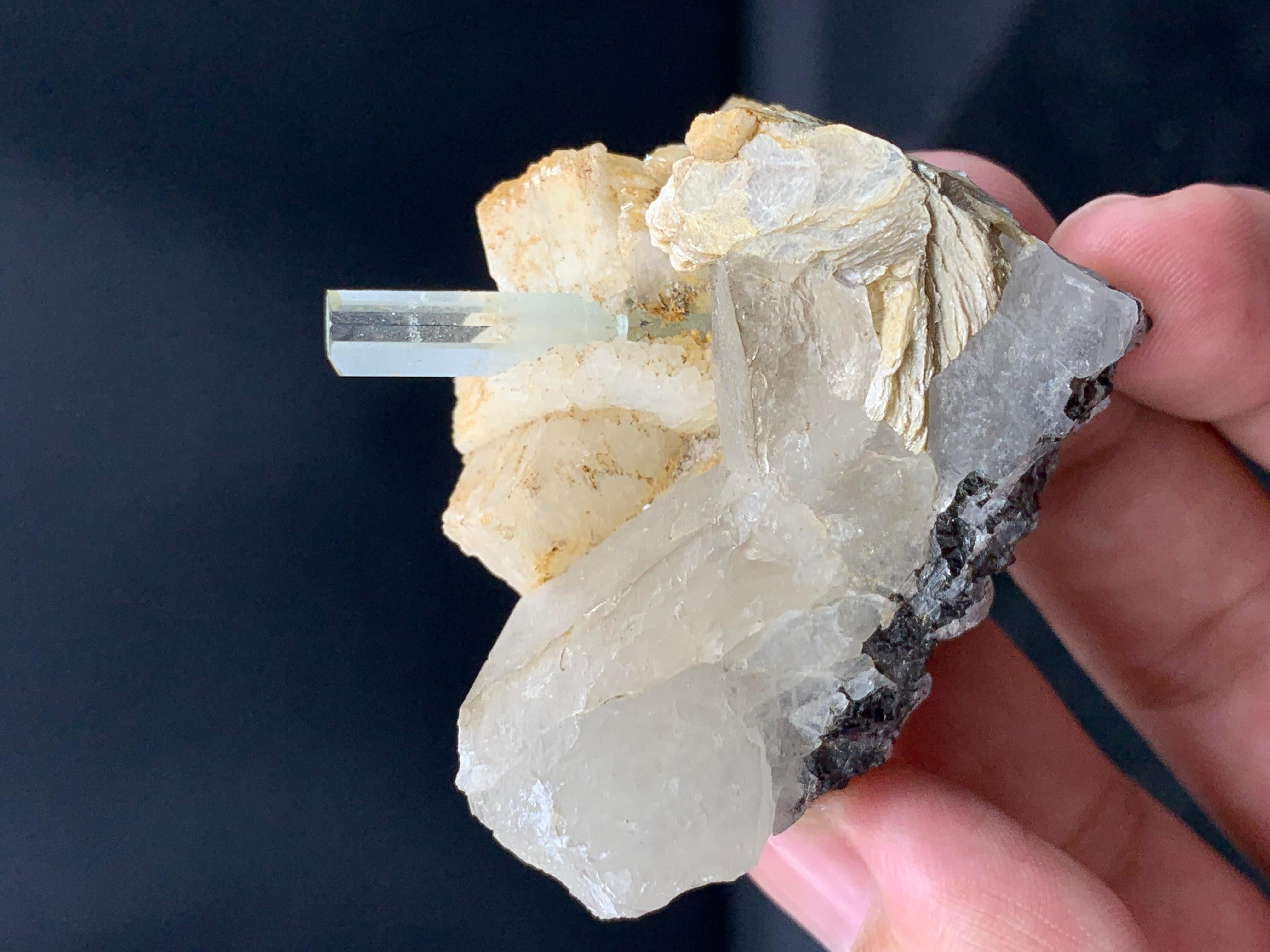 INFORMAZIONI SUL PRODOTTO:

Tipo di campione: Acquamarina allungata su Muscovite combinata con Quarzo 
Peso: 59,16 grammi
Dimensioni: H: 5,3 x L: 5,3 P: 2,9 Cm
Origine: Pakistan 
Trattamento: Nessuno

DESCRIZIONE:

Un cristallo di acquamarina,