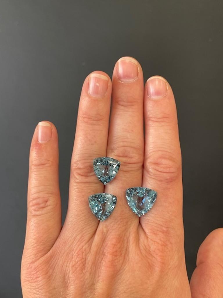 Very impressive 20.90 carat trillion Aquamarine gem set, offered unmounted to an avid gemstone collector. 
This is a superb set for a ring and matching earrings.
Individual Aquamarine weights and dimensions:
8.43 carat - 13.98mm x 14.07mm x