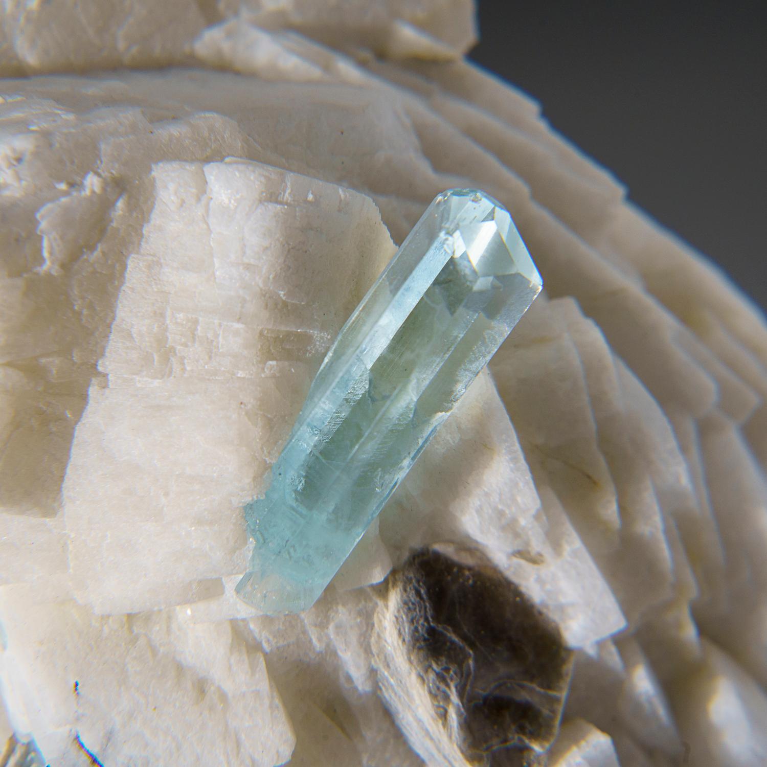 From Shigar Valley, Shigar District, Gilgit-Baltistan, Pakistan

Aesthetic cluster of white albite with several blue aquamarine crystals running through the middle. The aquamarine crystal is flawless internally and has microscopic patterns on the