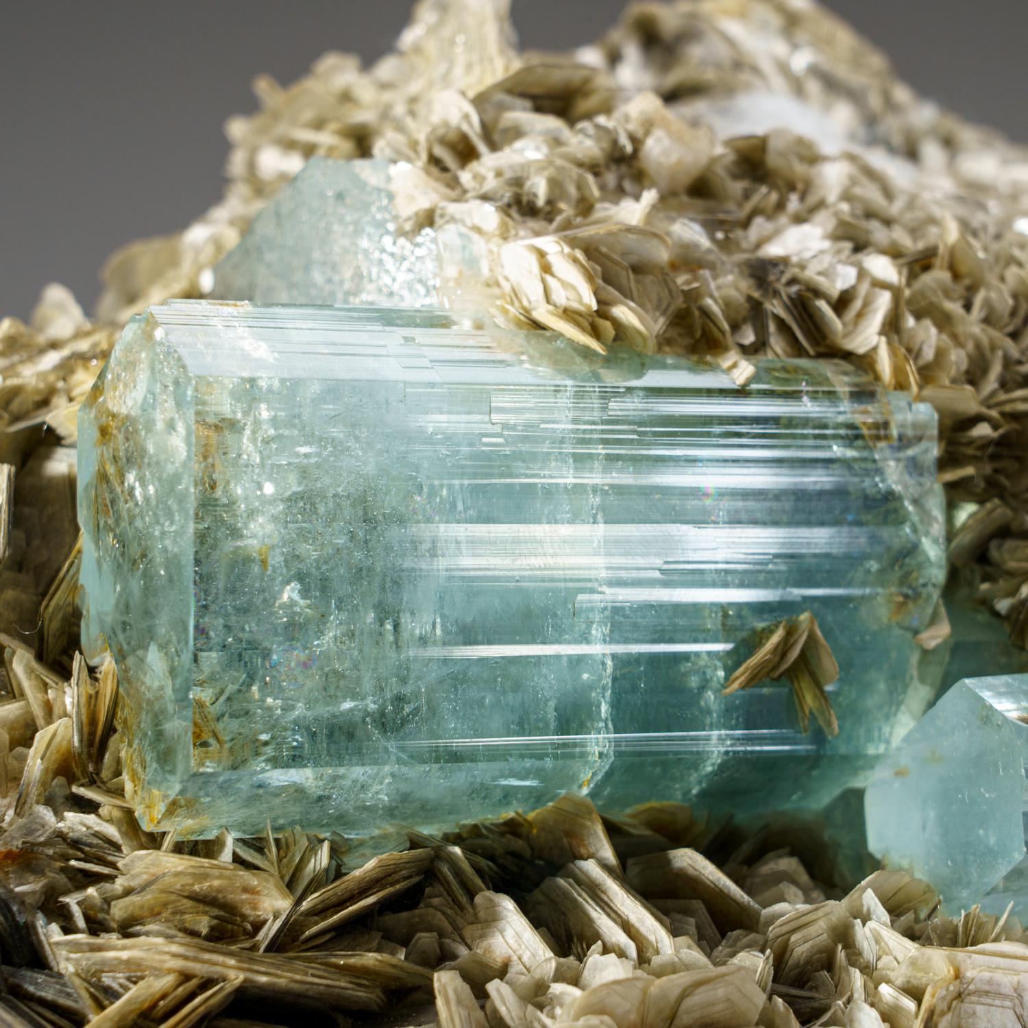 From Nagar, Hunza Valley, Gilgit-Baltistan, Pakistan

Lustrous transparent aquamarine crystals on matrix composed of bladed silvery muscovite crystal in a radiating sprays. The aquamarine is fully terminated with glassy luster faces.


Weight: 5.5