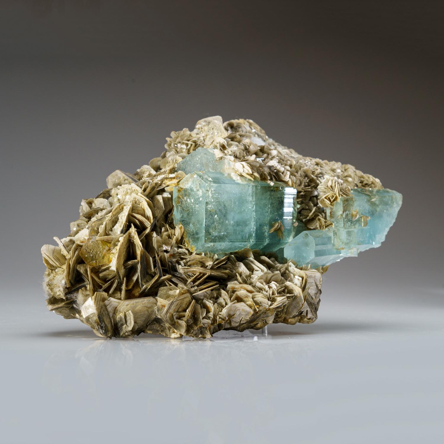 XXIe siècle et contemporain Aigue-marine sur muscovite de Nagar, vallée de la Hunza, Gilgit-Baltistan, Pakistan