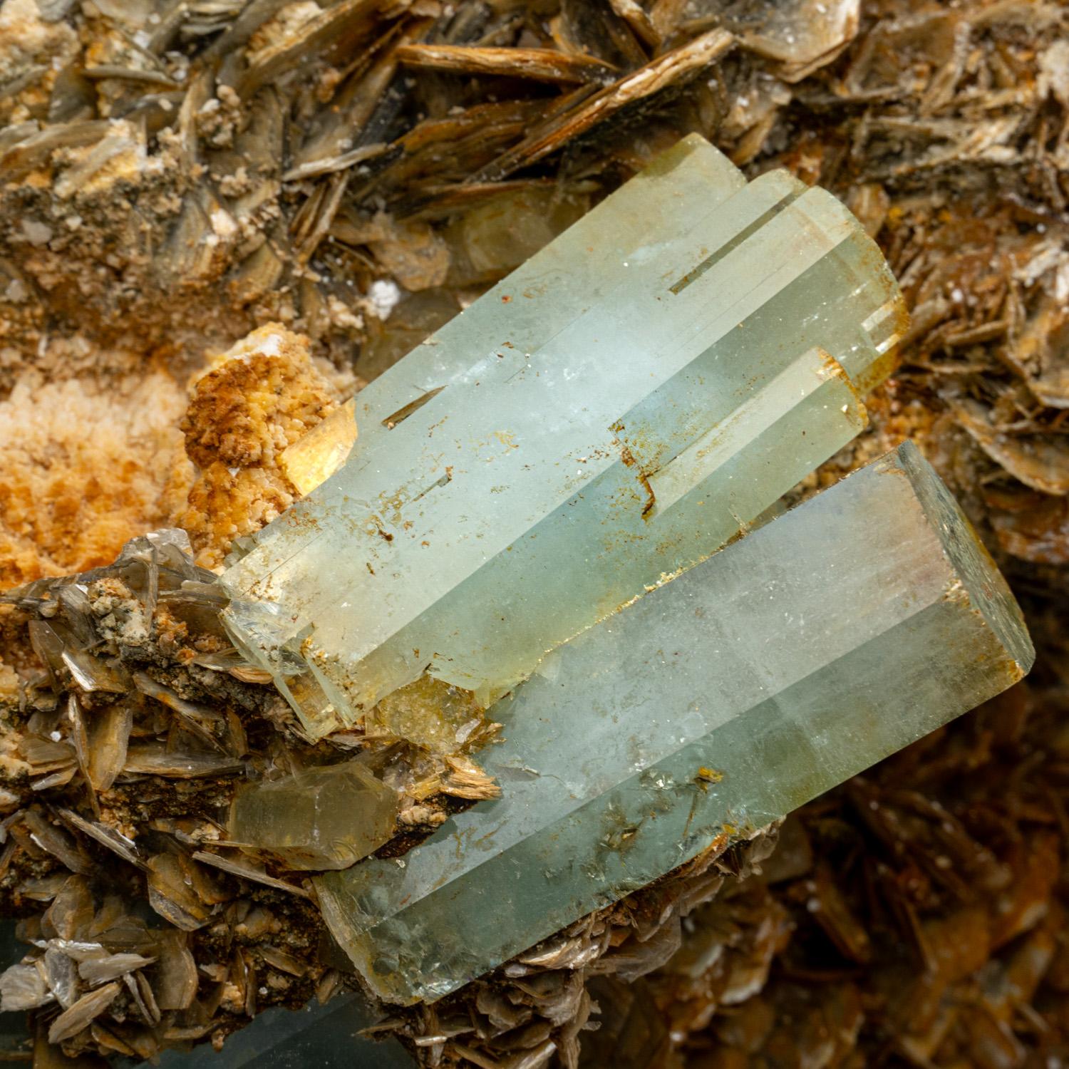 Da Nagar, Valle di Hunza, Distretto di Gilgit, Gilgit-Baltistan, Pakistan

Grande cristallo di acquamarina trasparente e lucente, la varietà blu del minerale berillo, su cristalli di mica muscovite gialla con diversi cristalli di acquamarina più