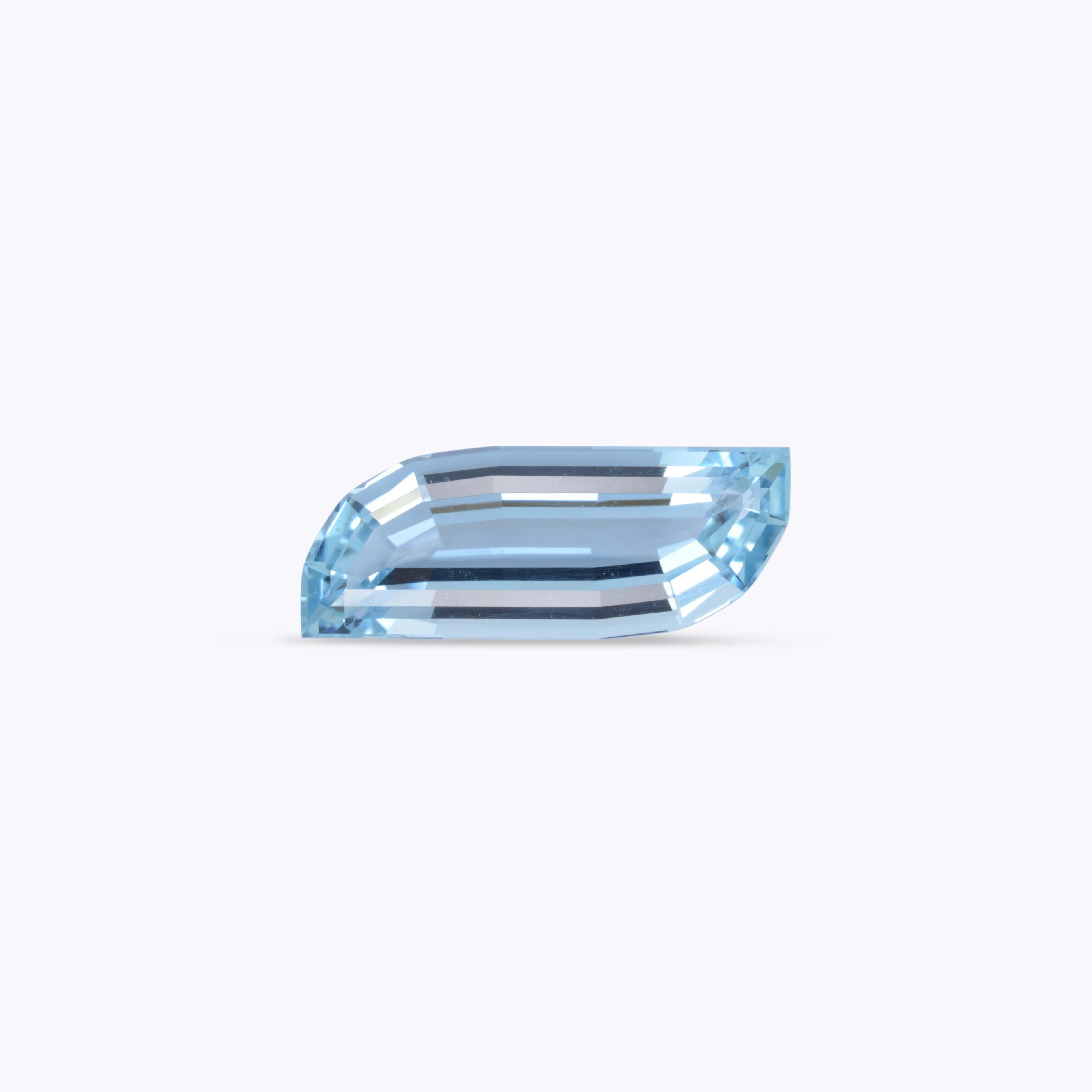 Contemporary Aquamarine Ring Necklace Gem 13.89 Carat Leaf Loose Gemstone For Sale