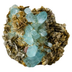 Aquamarin mit Apatit auf Muscovite aus Gilgit-Baltistan, Pakistan