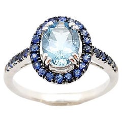Aquamarine with Blue Sapphire Ring set in 18K White Gold Settings
