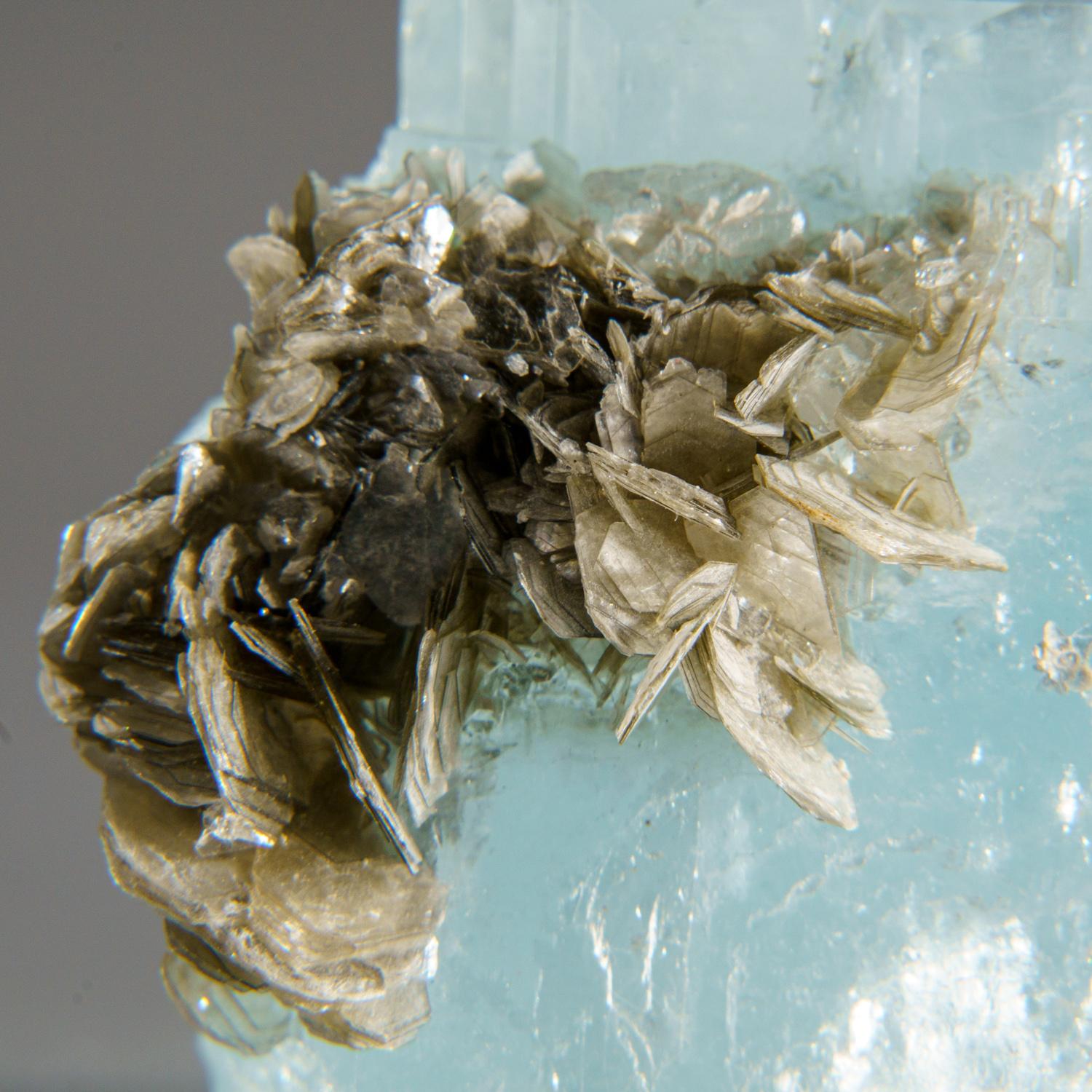 De Nagar, vallée de Hunza, Gilgit-Baltistan, Pakistan

Cristal d'aigue-marine transparent et lustré avec des cristaux de mica muscovite argentés. Les aigue-marines sont super gemmes avec une forme hexagonale bien définie et des terminaisons