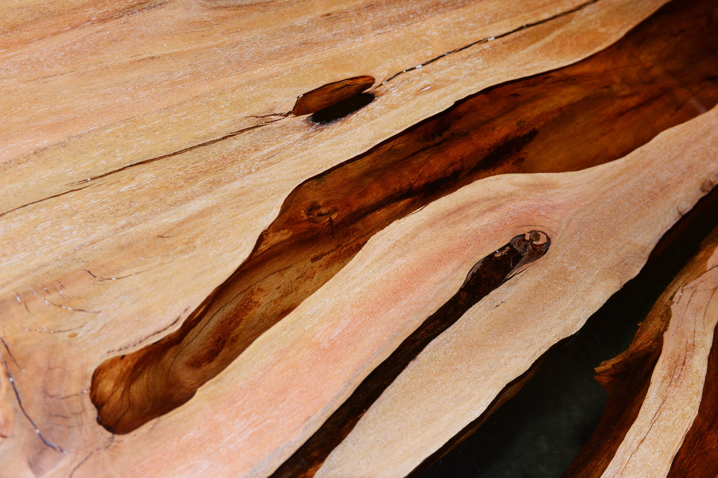 Hand-Carved Aquariquara and Resin Coffee Table For Sale