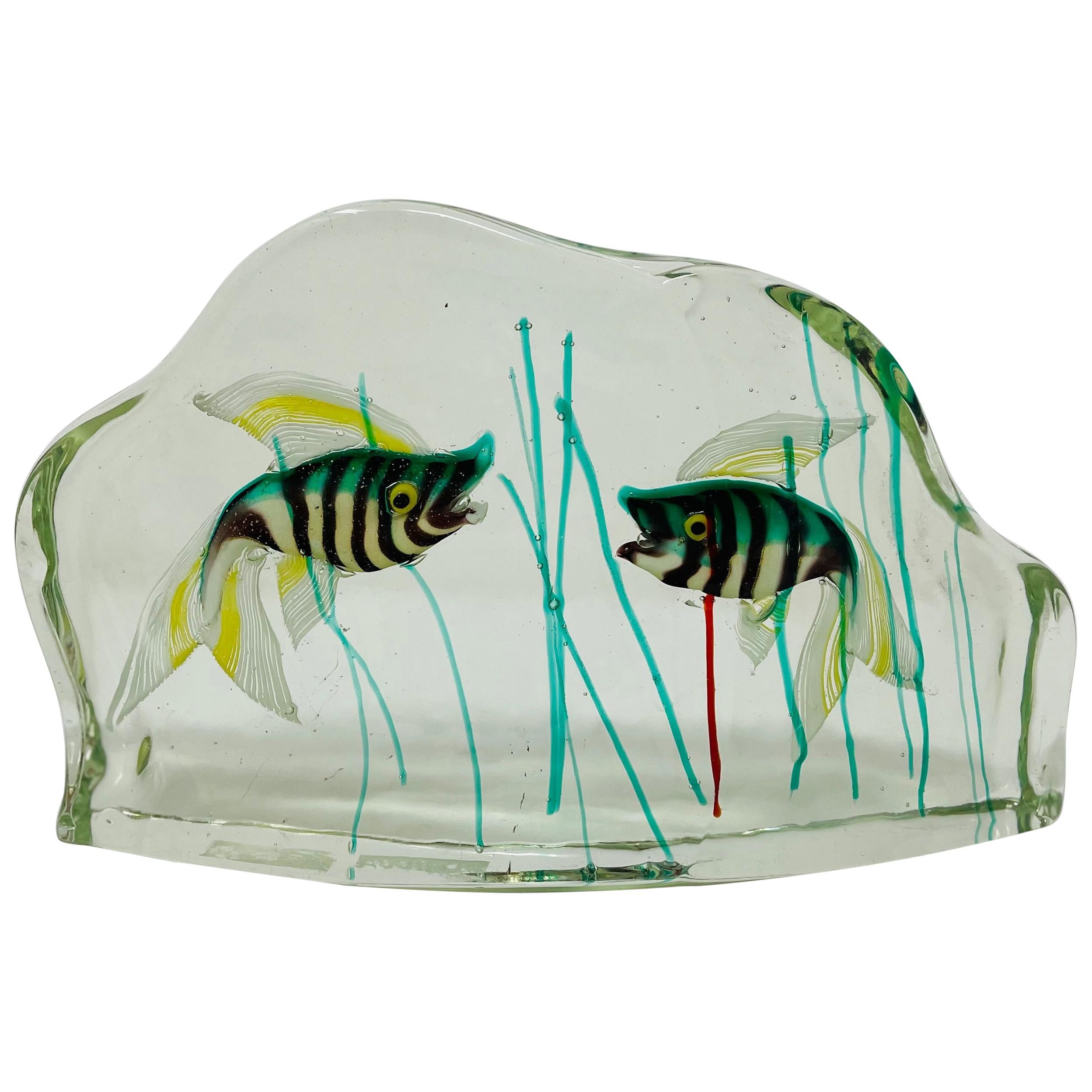 Aquarium Attributed to Riccardo Licata for Cenedese, circa 1950 For Sale