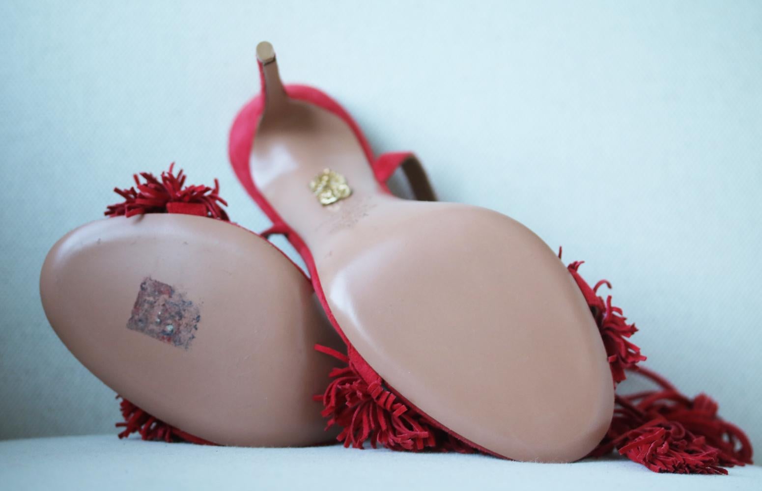 wild thing aquazzura