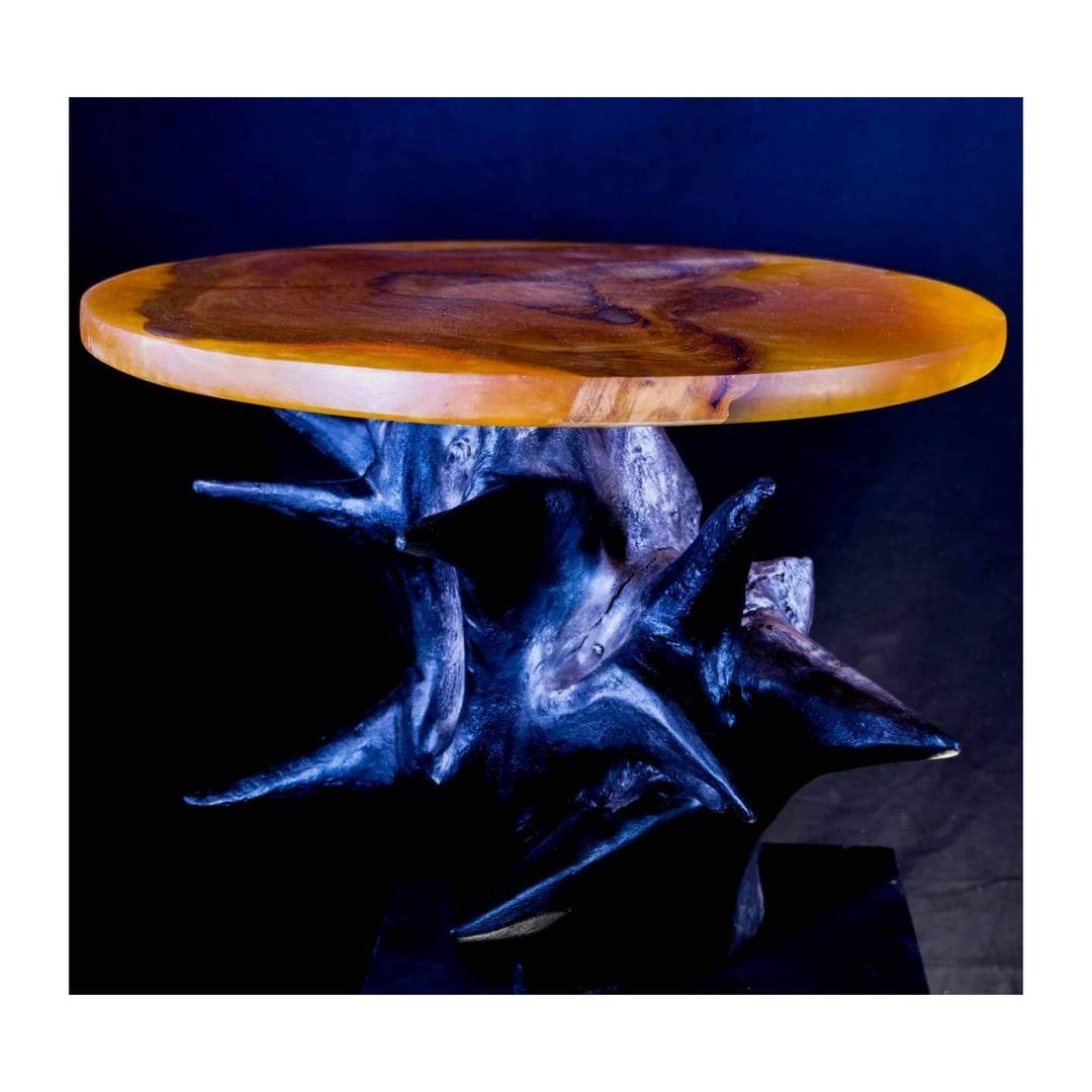 Aquila cherry and walnut table by Biome Design
One of a Kind
Dimensions: D 50 x H 46 cm
Materials: 50 year old cherry wood, 40 year old walnut wood, biobased resin

Aquila table has the grandeur of an eagle, her neck radiating with gold,