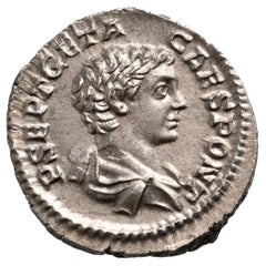 AR Denarius Geta (209-211)