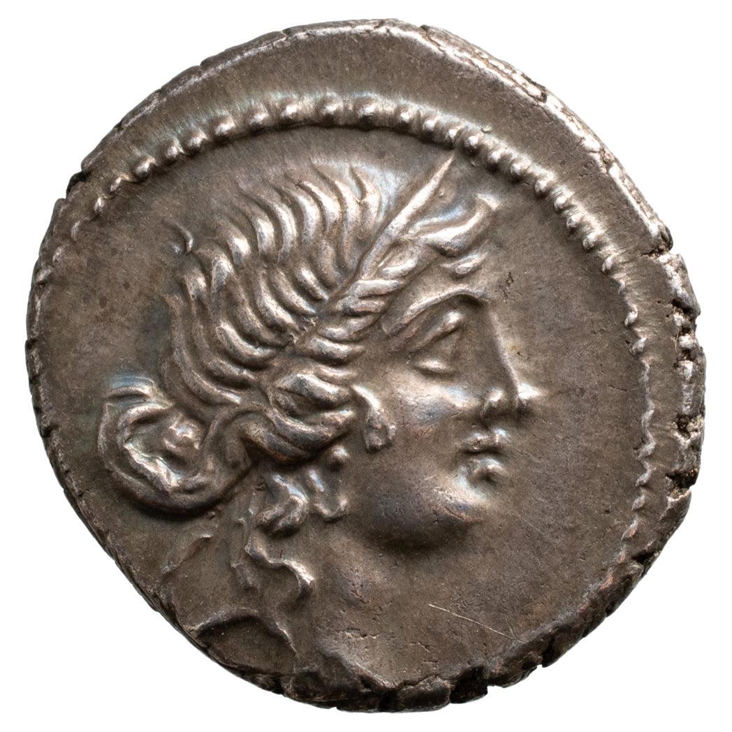 AR Denarius Julius Caesar (48-44 BC) For Sale