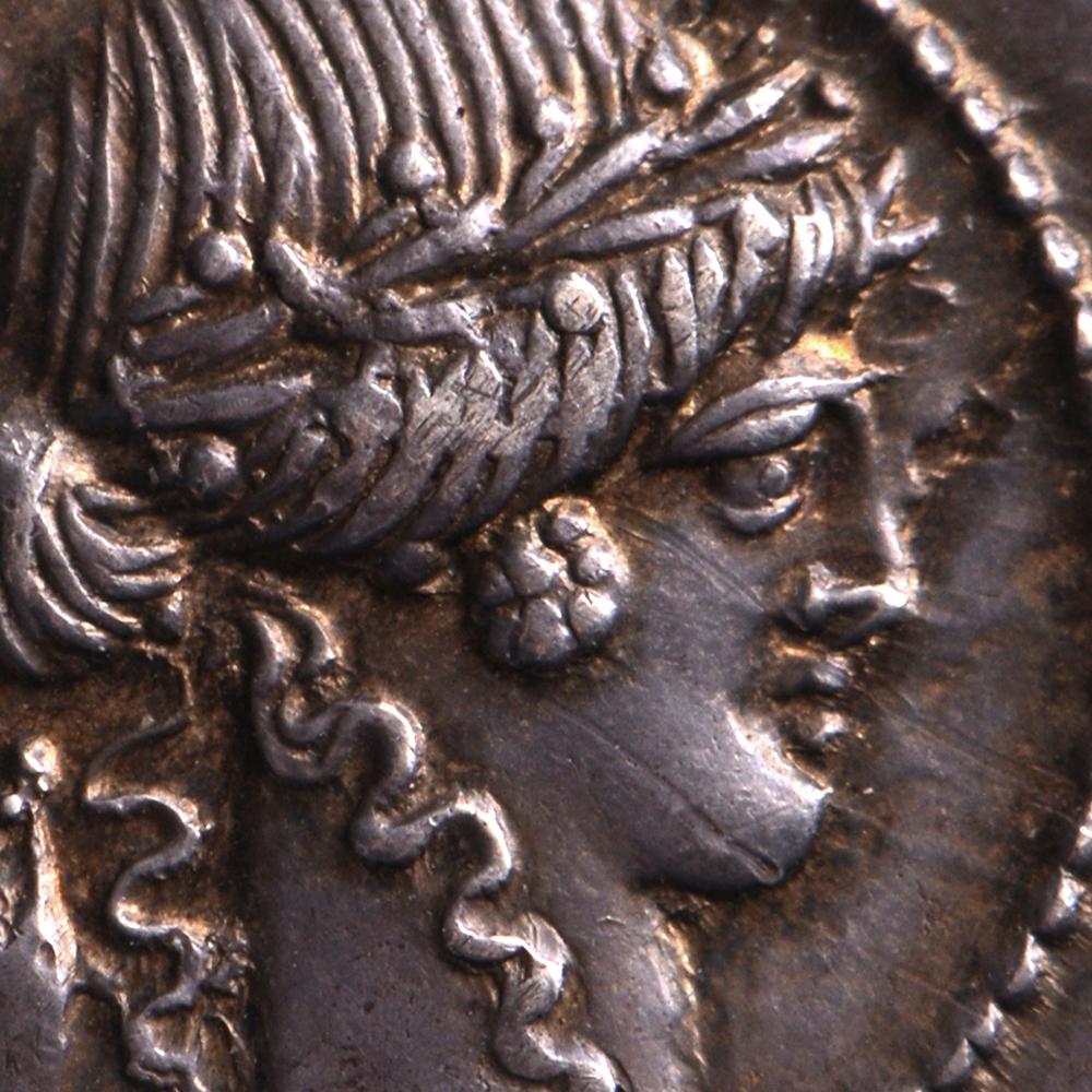 Classical Roman AR Denarius P. Clodius M.f. Turrinus For Sale