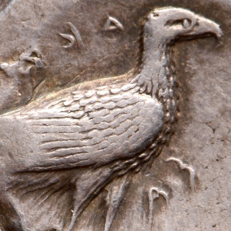 Grec classique AR Didrachm, Sicile, Akragas, 480-470 avant J.-C. en vente