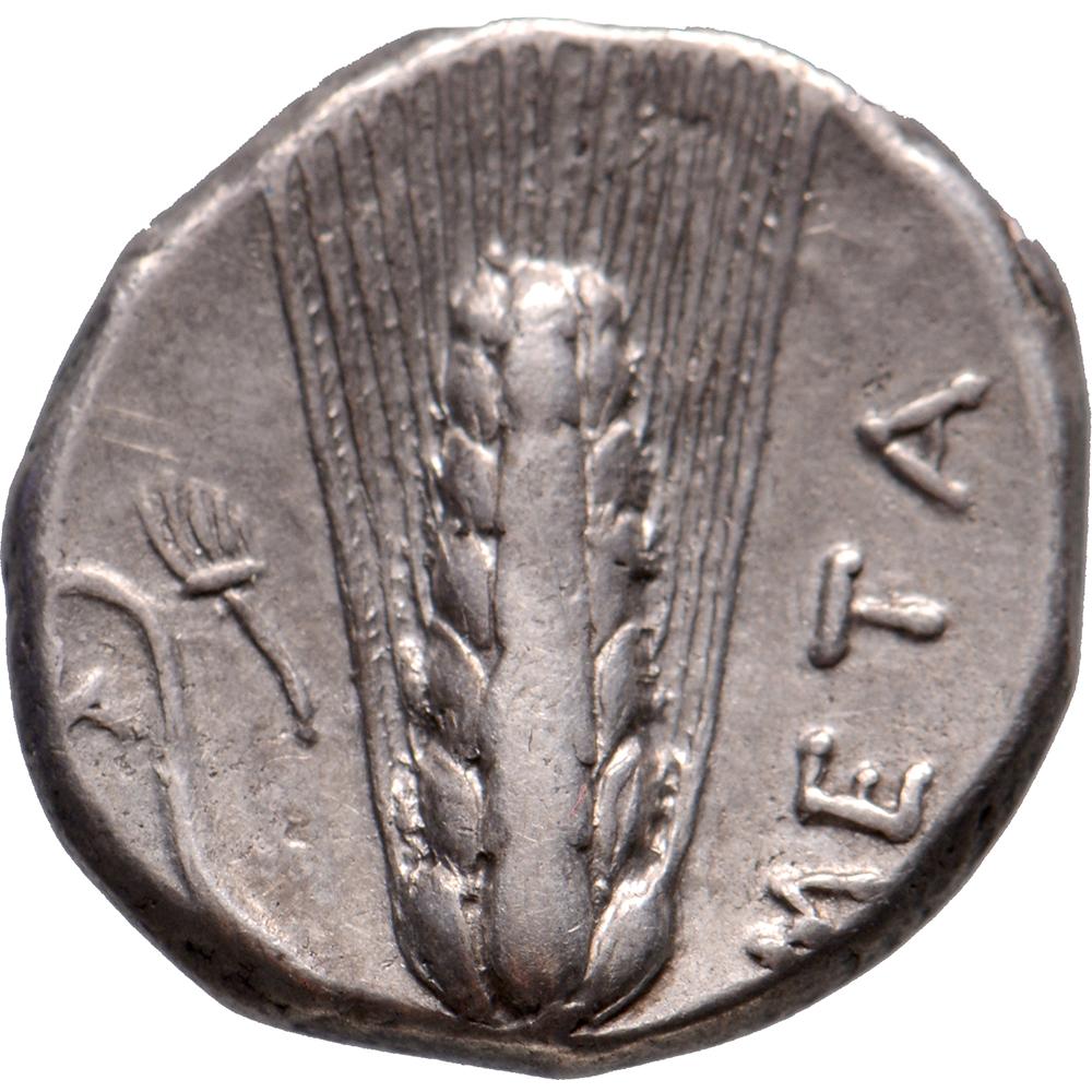 Obverse: head of Demeter left, wearing barley wreath
Reverse: ΜΕΤA, ear of barley, pitchfork above leaf in left field

Weight: 7.84 g
Grade: About extremely fine
Reference: SNG ANS 452; Johnston C 5; HN Italy 1582
Year: 330-290 BC