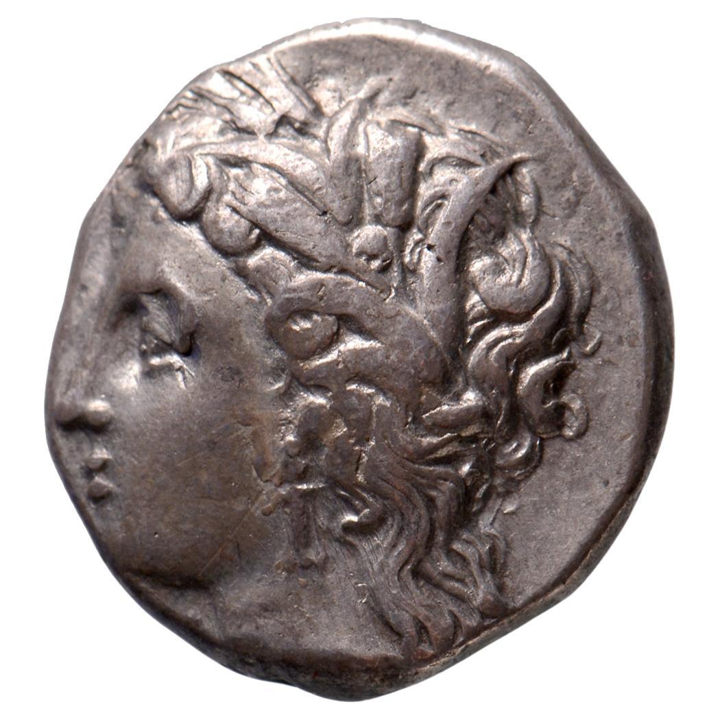 AR Stater Lucania, Metapontum For Sale