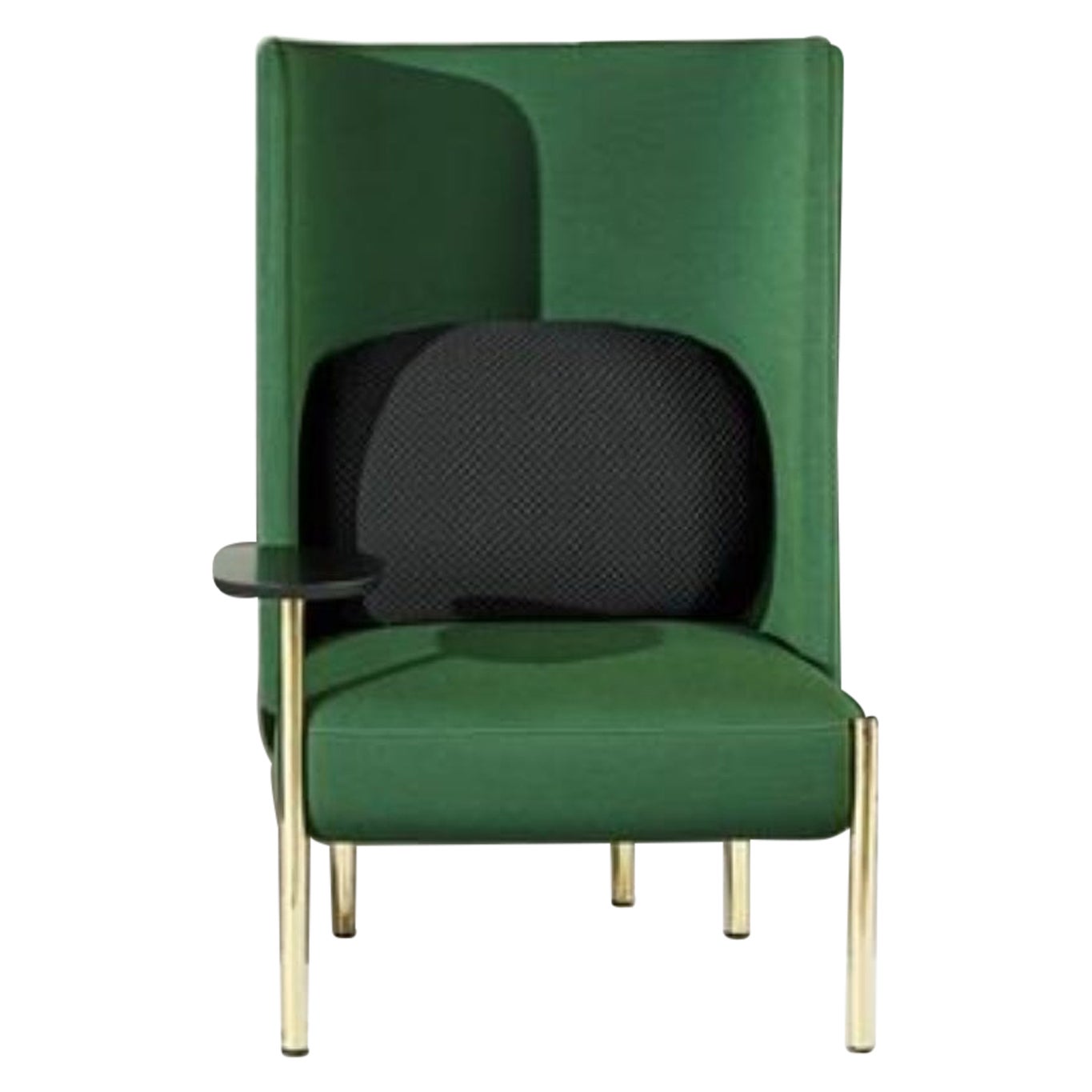 Ara Green Armchair by Pepe Albargues For Sale
