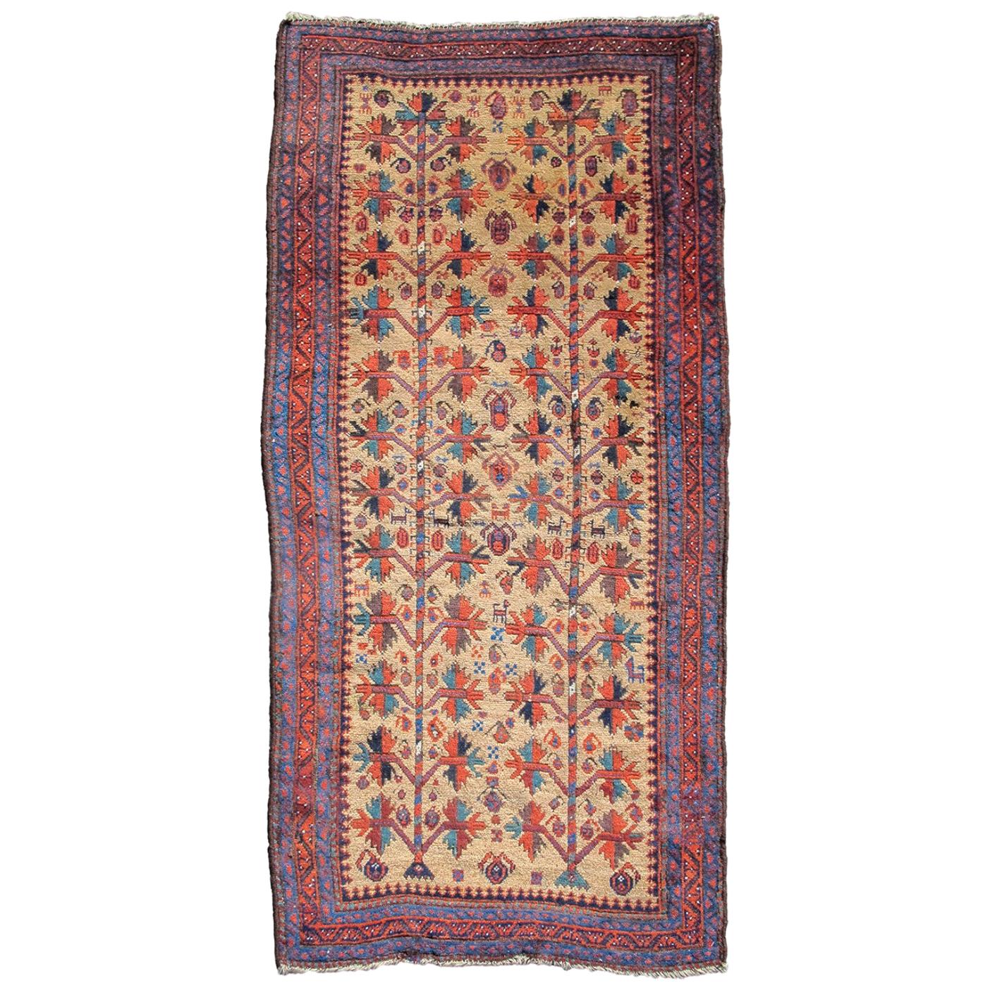 Arab Baluch rug For Sale at 1stDibs