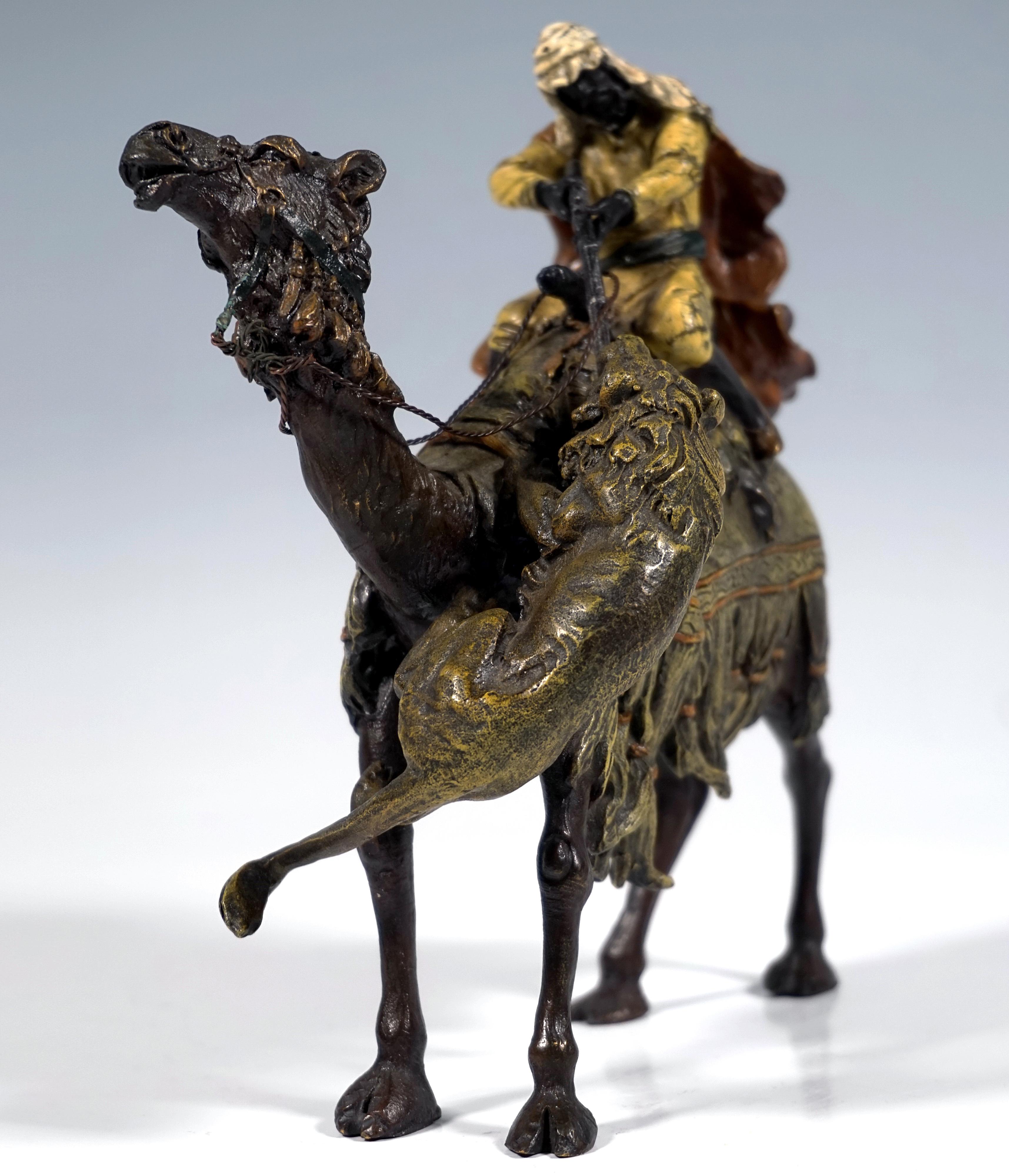 Bearded Arab in traditional desert clothing with a flowing cloak and a white cloth tied around his head, his ankle-length shirt pulled up while seated and fastened with a belly band, sitting on a camel with a magnificent saddle and harness, shooting