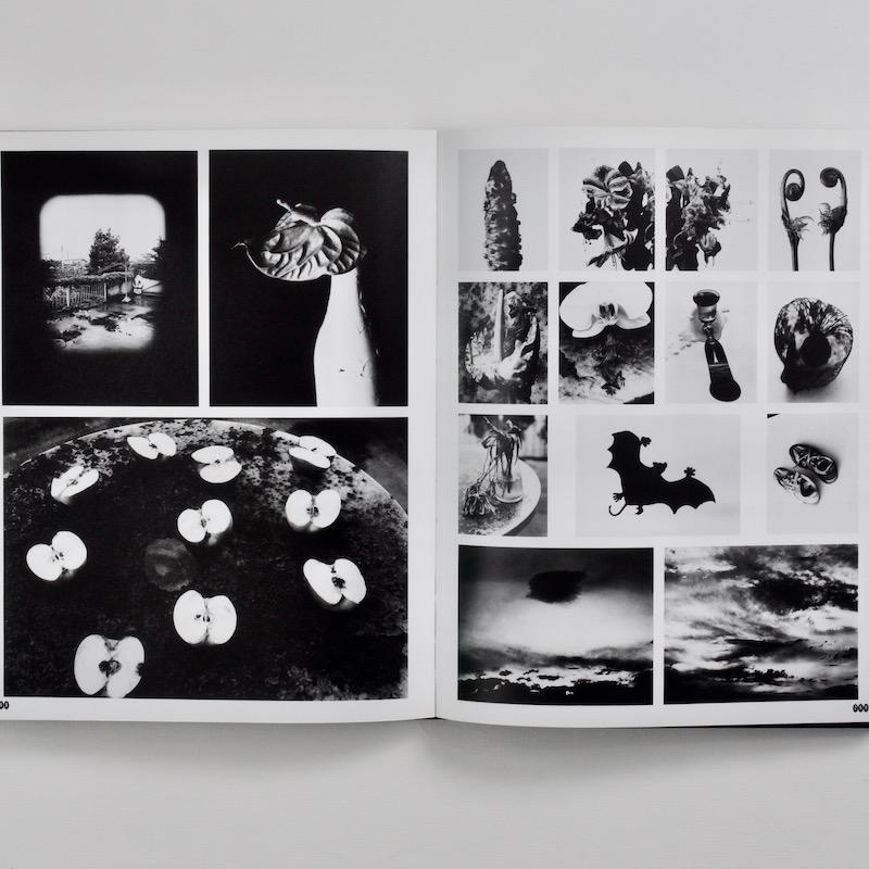 Araki by Araki: The Photographer's Personal Selection - 1st Ed., Kodansha, 2003 2