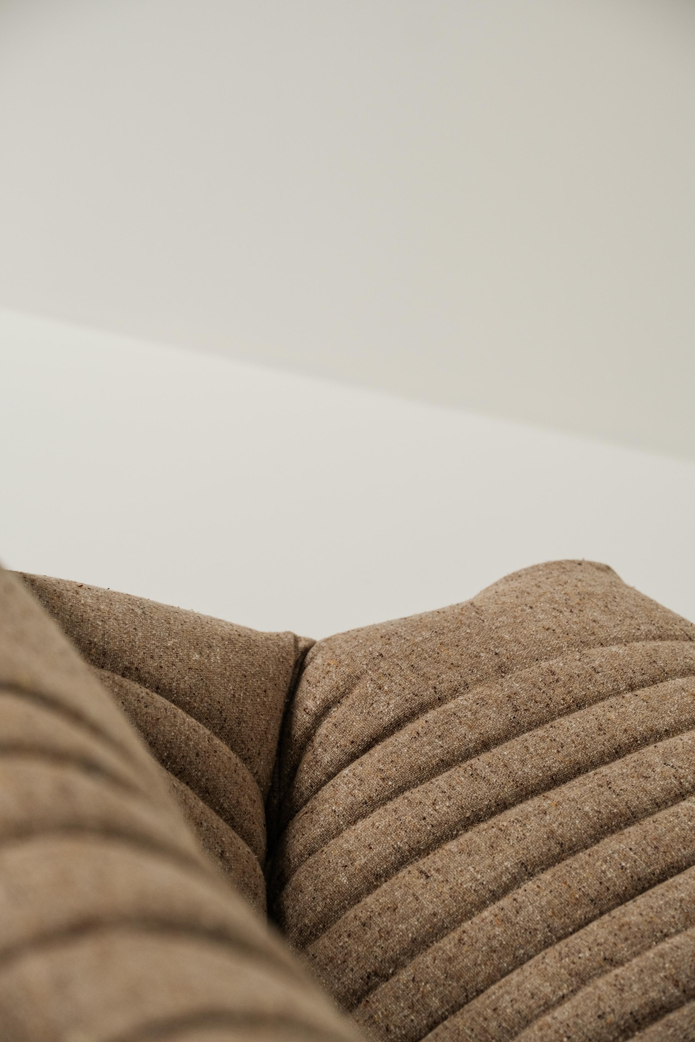 Aralia 2 seater designed by Michel Ducaroy for Ligne Roset 3