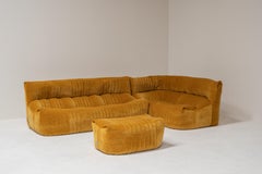 Aralia Modular Sofa Set for Ligne Roset by Michel Ducaroy , France, 1970s