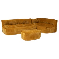 Aralia Modular Sofa Set for Ligne Roset by Michel Ducaroy , France, 1970s