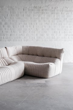 Aralia seating group by Michel Ducaroy for Ligne Roset