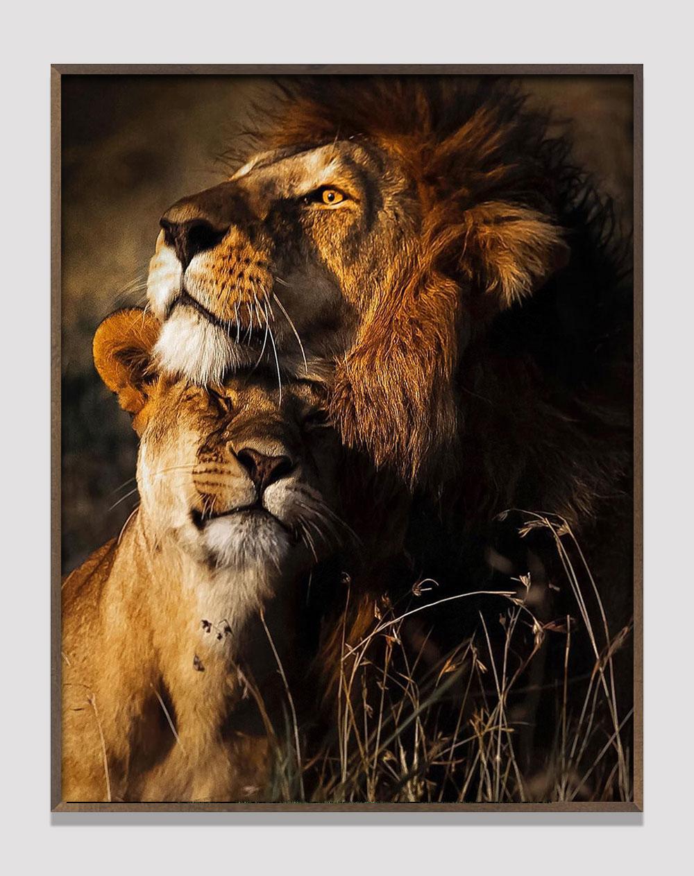 Araquém Alcãntara - Lion and lioness II, Tanzania, Africa - Photograph by Araquém Alcântara